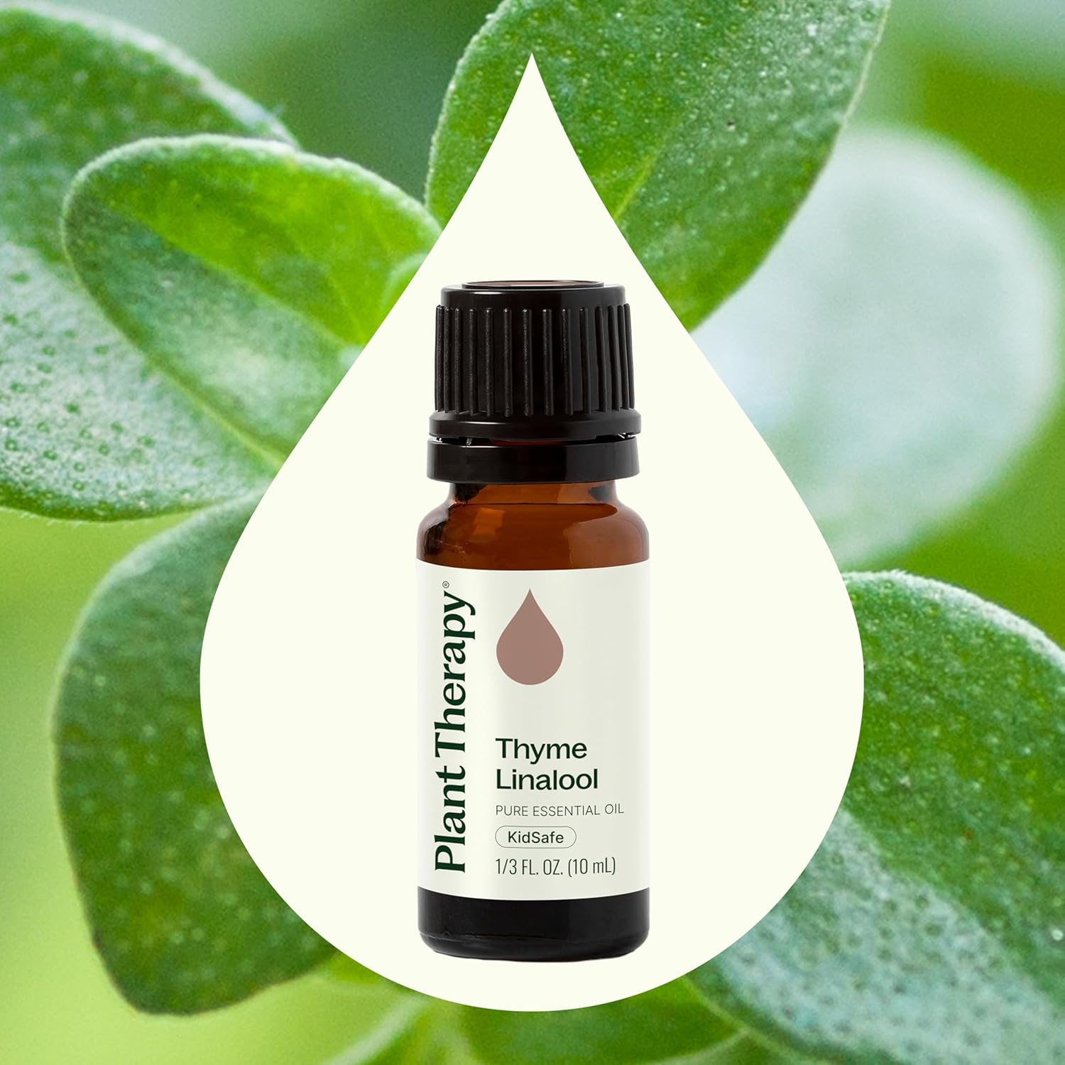 Plant Therapy Thyme Linalool Essential Oil 10 mL (1/3 oz) 100% Pure Thyme Essential Oil, Undiluted, Immune Support