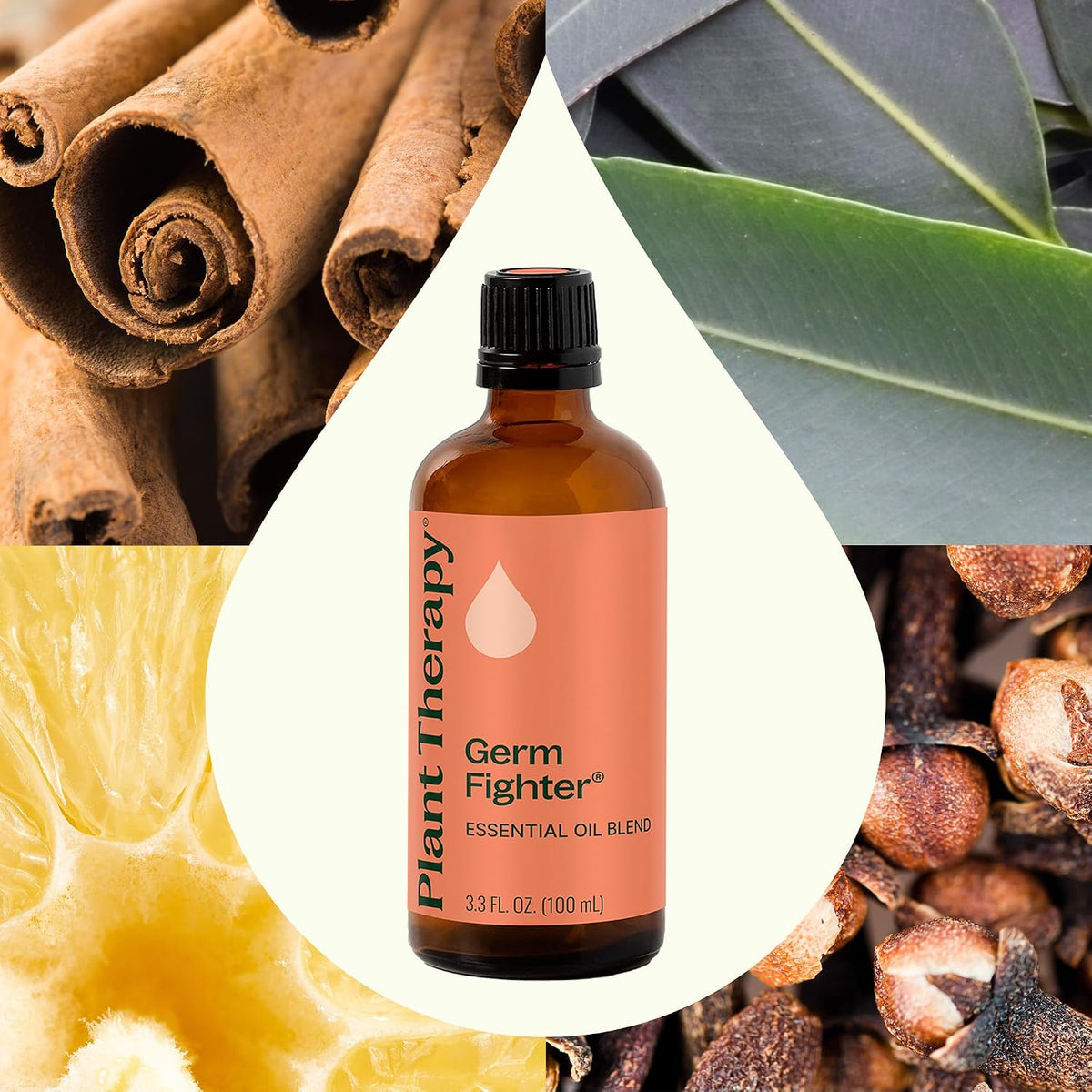 Plant Therapy Germ Fighter Essential Oil Blend 100 mL (3.3 oz) Pure