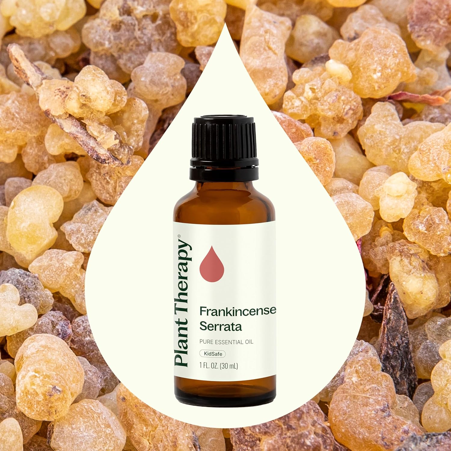 Plant Therapy Frankincense Essential Oil (Serrata), 30 mL (1 oz), 100% Pure and Undiluted, Great for DIY Skin Care and Diffusing