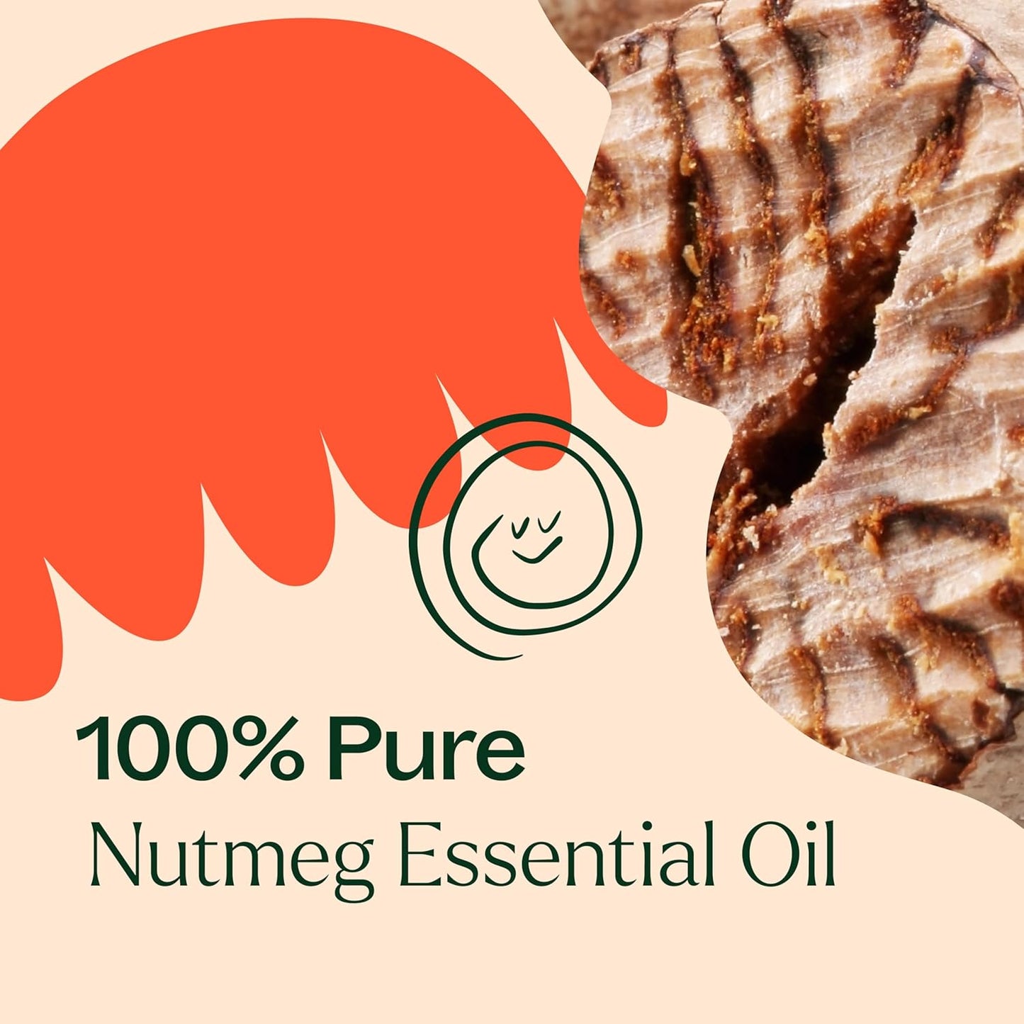 Plant Therapy Nutmeg Essential Oil 10 mL(1/3 oz) 100% Pure, Undiluted, Stimulating Aromatherapy for Digestive Relief and Joint Pain