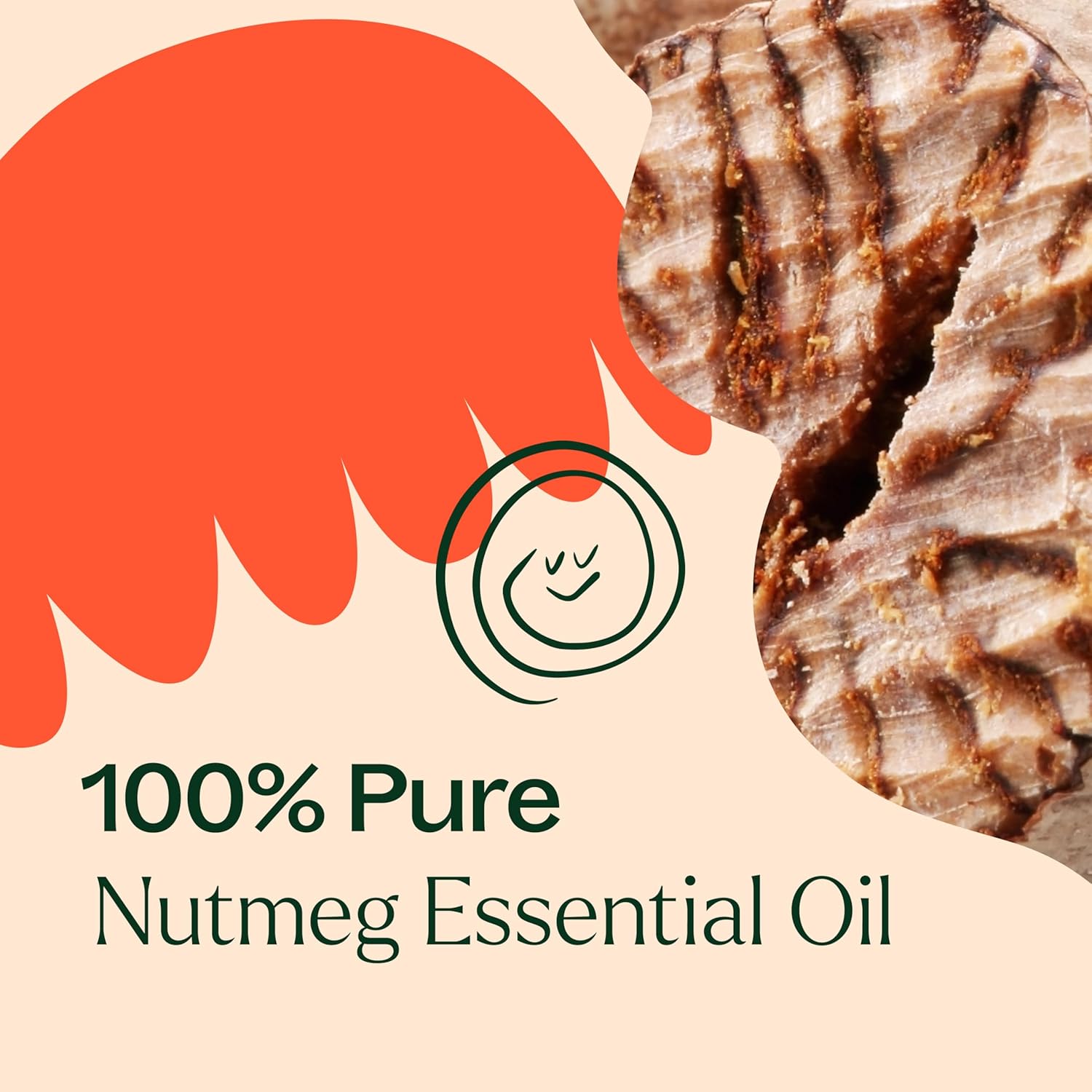 Plant Therapy Nutmeg Essential Oil 10 mL(1/3 oz) 100% Pure, Undiluted, Stimulating Aromatherapy for Digestive Relief and Joint Pain