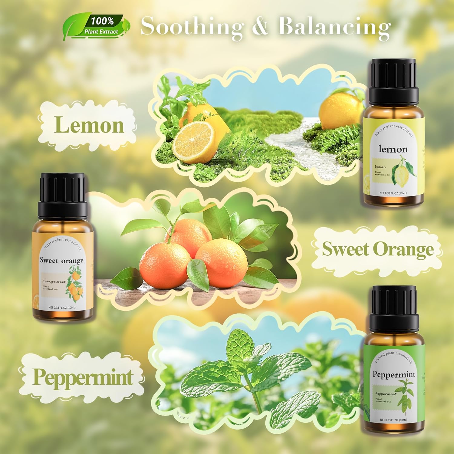 Fashome Essential Oil Blends Set for Diffuser - Energizing Citrus & Fresh Scent - Plant-Based Aromatherapy Oils for Home & DIY 6-Pack x 10ml (Peppermint, Lemon, Ginger,Orange, Magnolia, Chamomile)