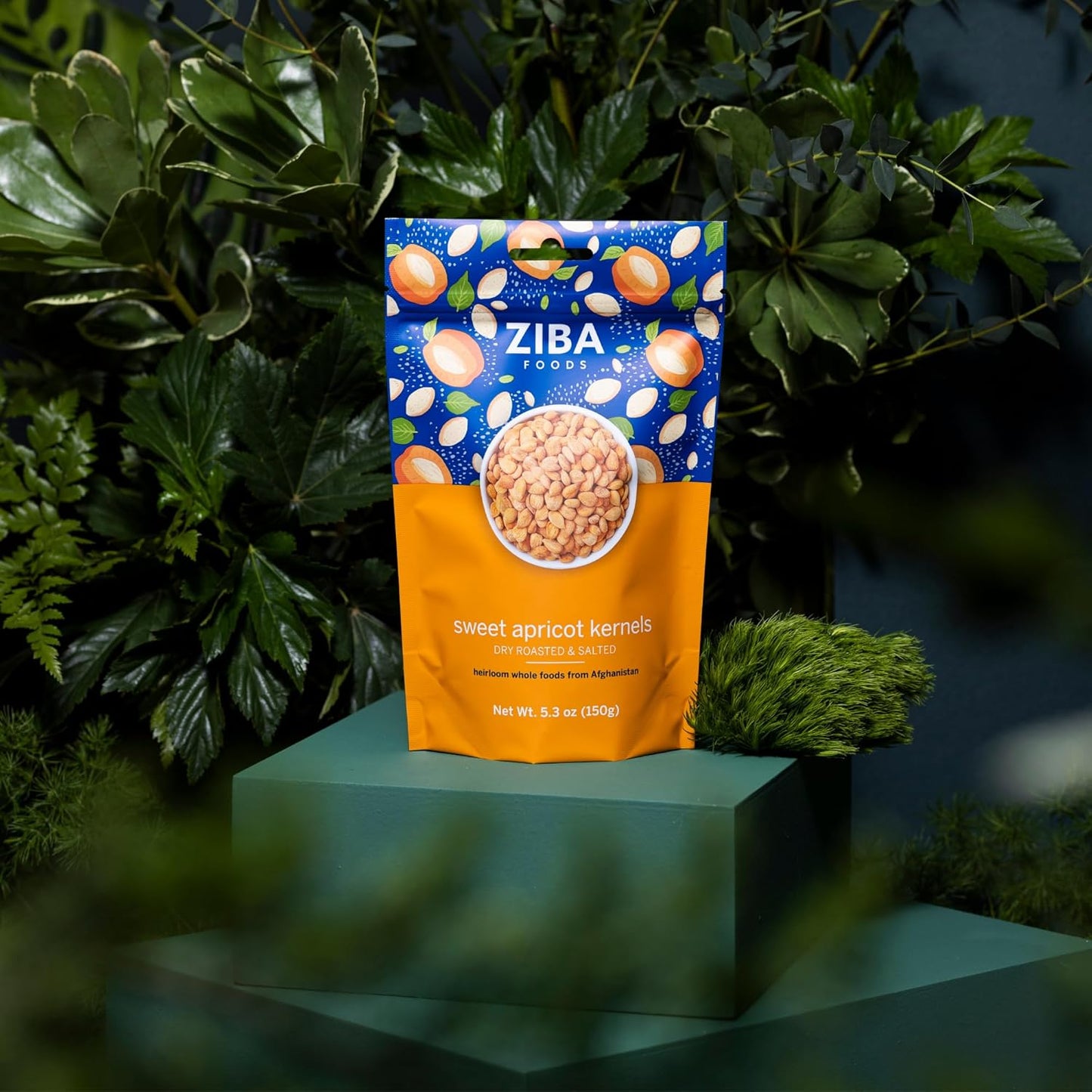 Ziba Foods Wild Grown Sweet Apricot Kernels | Non-GMO, Vegan, Whole 30 Friendly & Keto, Paleo, Dry Roasted Superseed | Wild Grown Superfood Naturally High In Vegan Protein and Omega 3s, Pack of 6