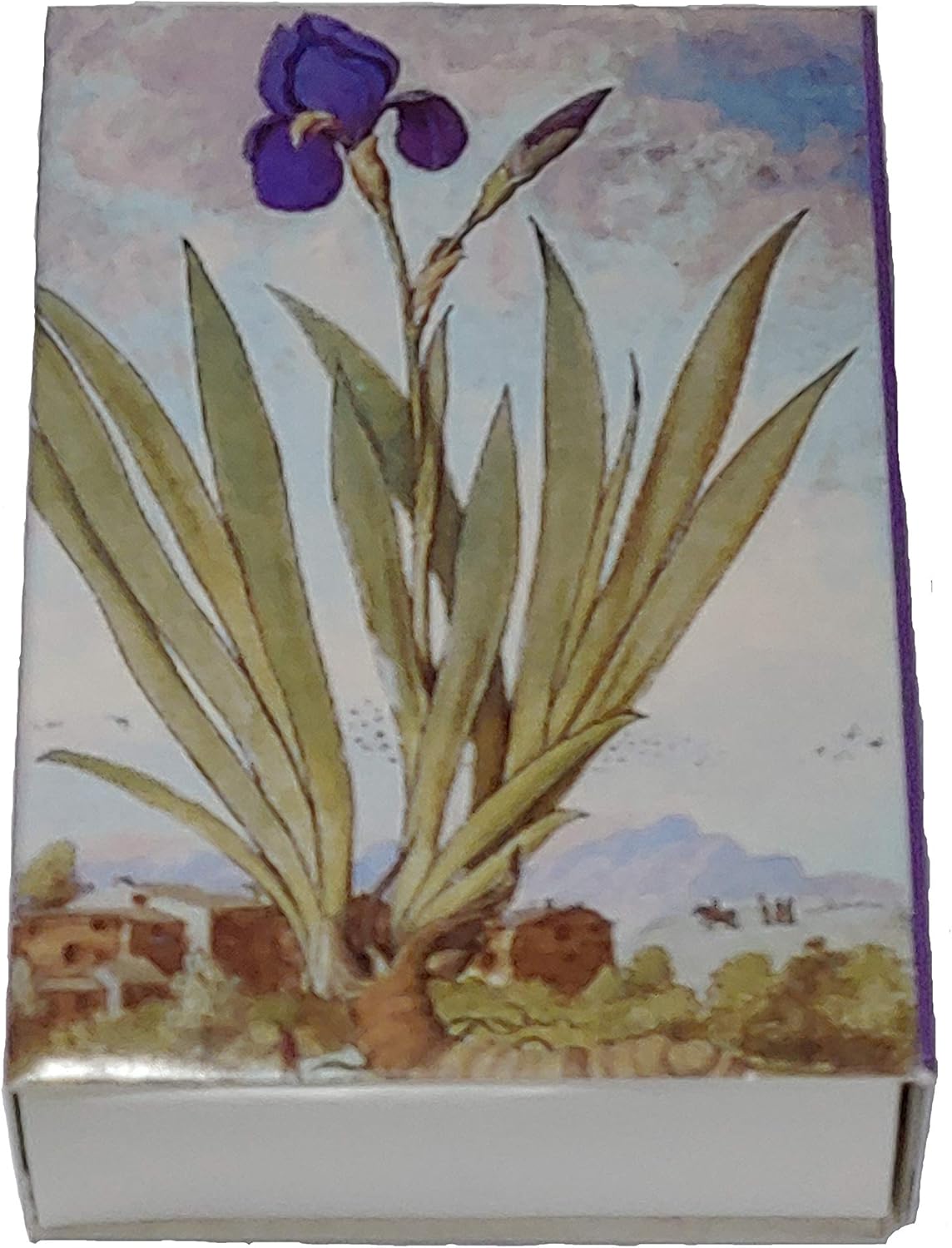 Decorative Mini Bontanical Floral Matchbox Set of 6 Matches for Candle and Fireplace Wood Matches