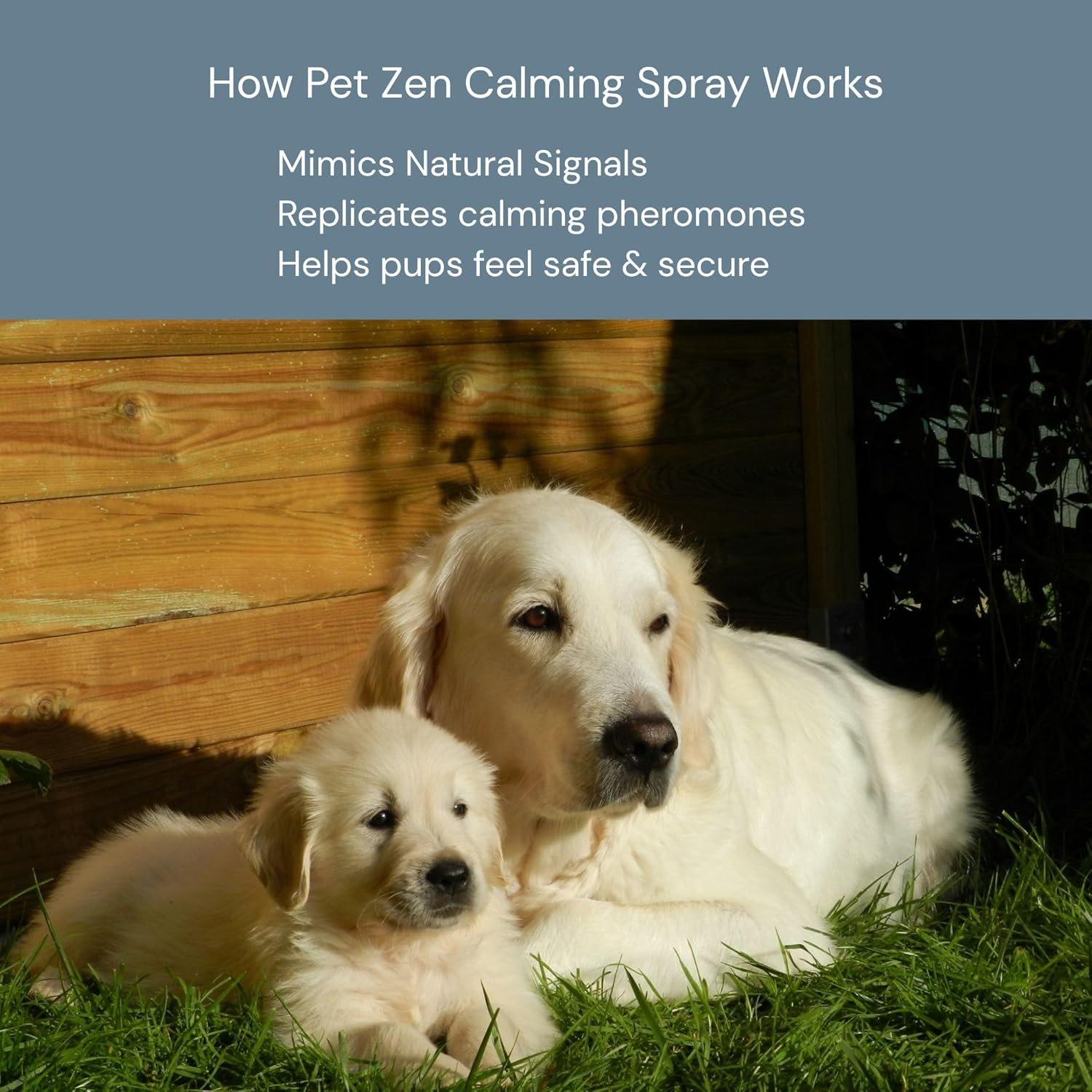 Pet Zen Pheromone Calming Spray for Dogs - Made in the USA - Alcohol-Free - for Carriers, Bedding, Travel & Vet Visits