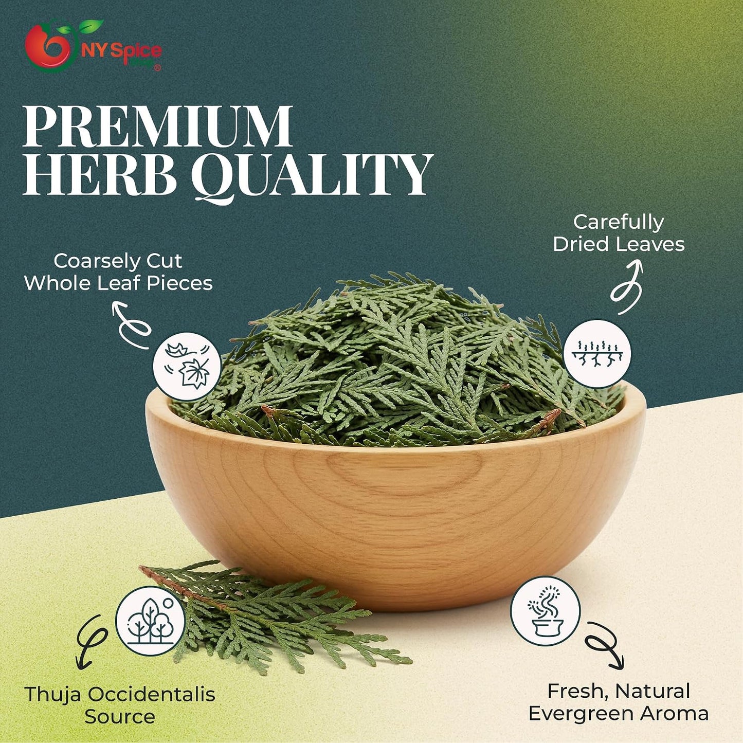 NY Spice Shop Natural Cedar Leaf Whole - 2 Ounce Evergreen Leaves - Raw Aromatic Botanical - Thuja occidentalis - Cut & Dried Herb - Bulk Herbal Ingredient for Crafting Incense or Potpourri