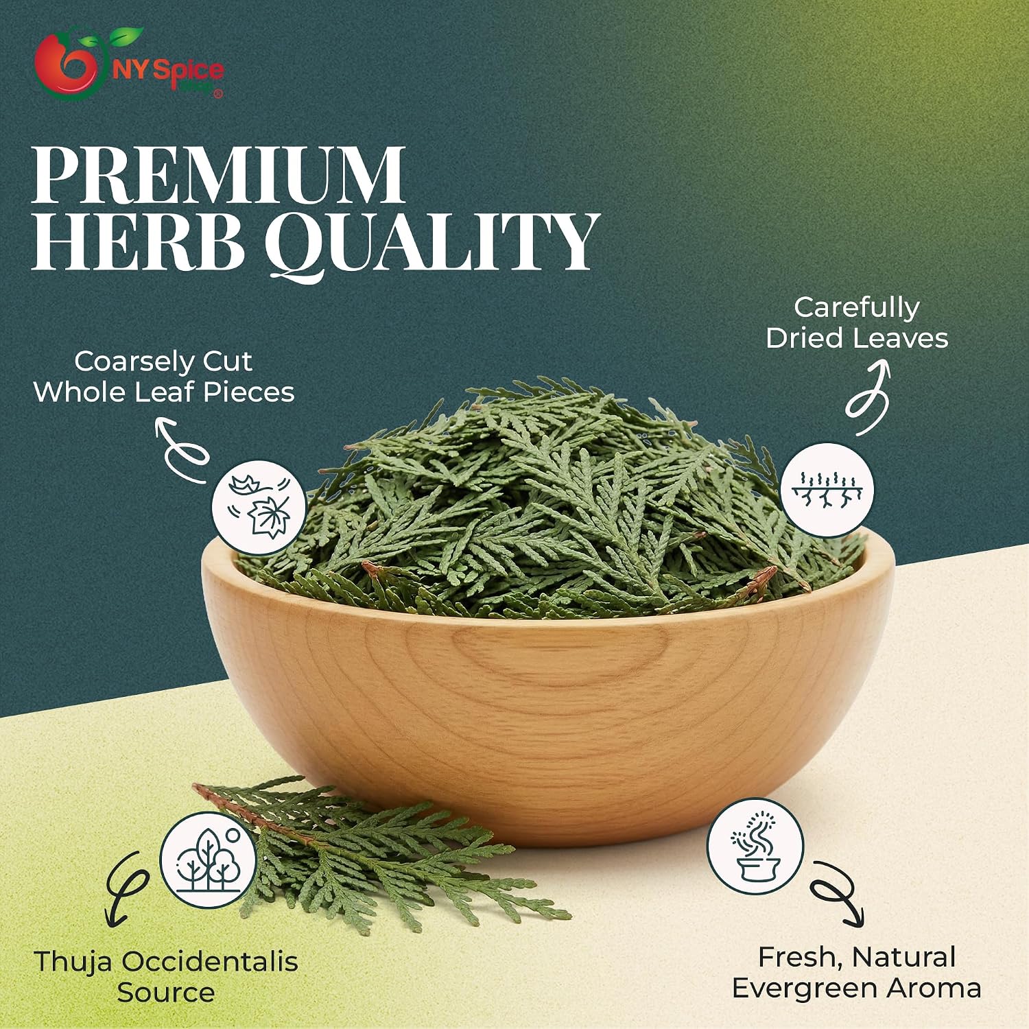 NY Spice Shop Natural Cedar Leaf Whole - 2 Ounce Evergreen Leaves - Raw Aromatic Botanical - Thuja occidentalis - Cut & Dried Herb - Bulk Herbal Ingredient for Crafting Incense or Potpourri