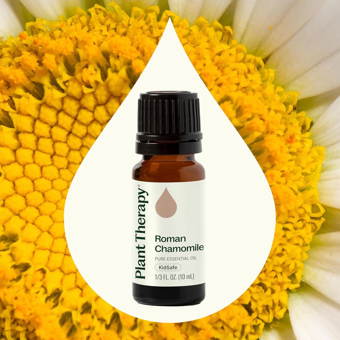 Plant Therapy Roman Chamomile Essential Oil, 10 mL (1/3 oz), 100% Pure, Undiluted, Great for Essential Oil Diffusers, Promotes Restful Sleep, Supports Healthy Skin