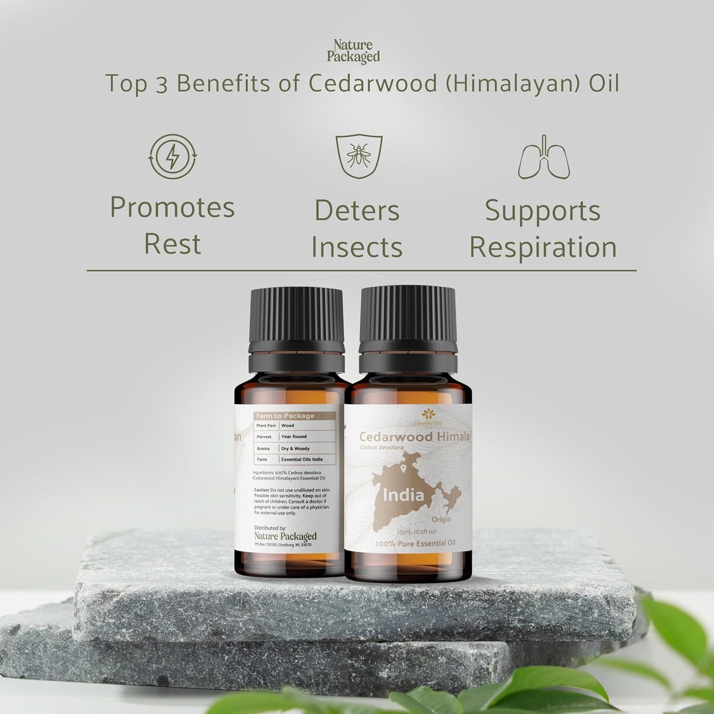 Cedarwood Essential Oil (Himalayan) - Direct from Hindustan Mint & Agro in India - Essential Oil for Diffusers and Aromatherapy | Pure Therapeutic Grade (15ml)