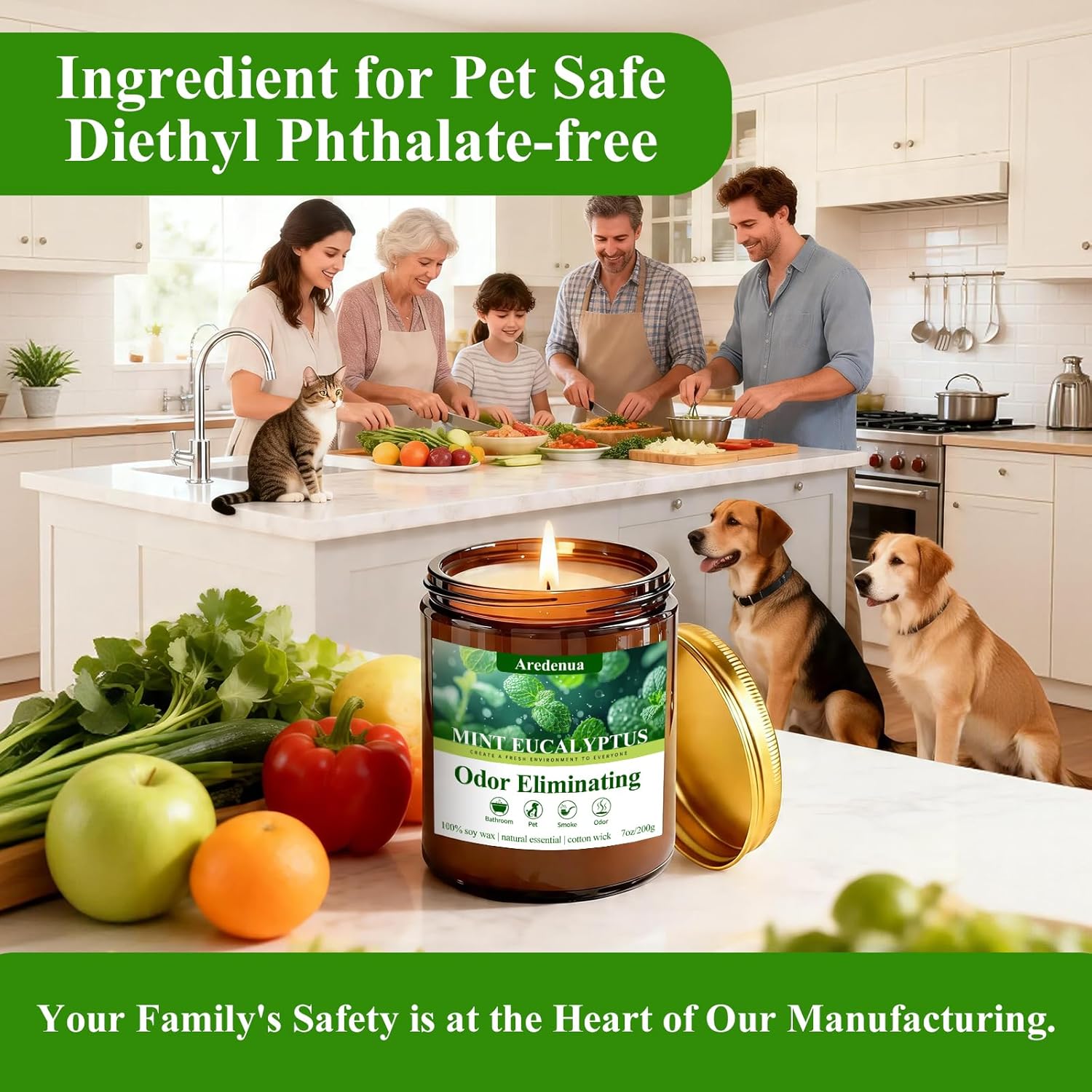 Mint Eucalyptus Odor Eliminating Candles | Eliminates 95% of Pet, Smoke, Food & Other Smells – Air Freshing Scented Candles - Gifts for Women Men, 50 Hour Burn time - 7 oz Natural Soy Wax