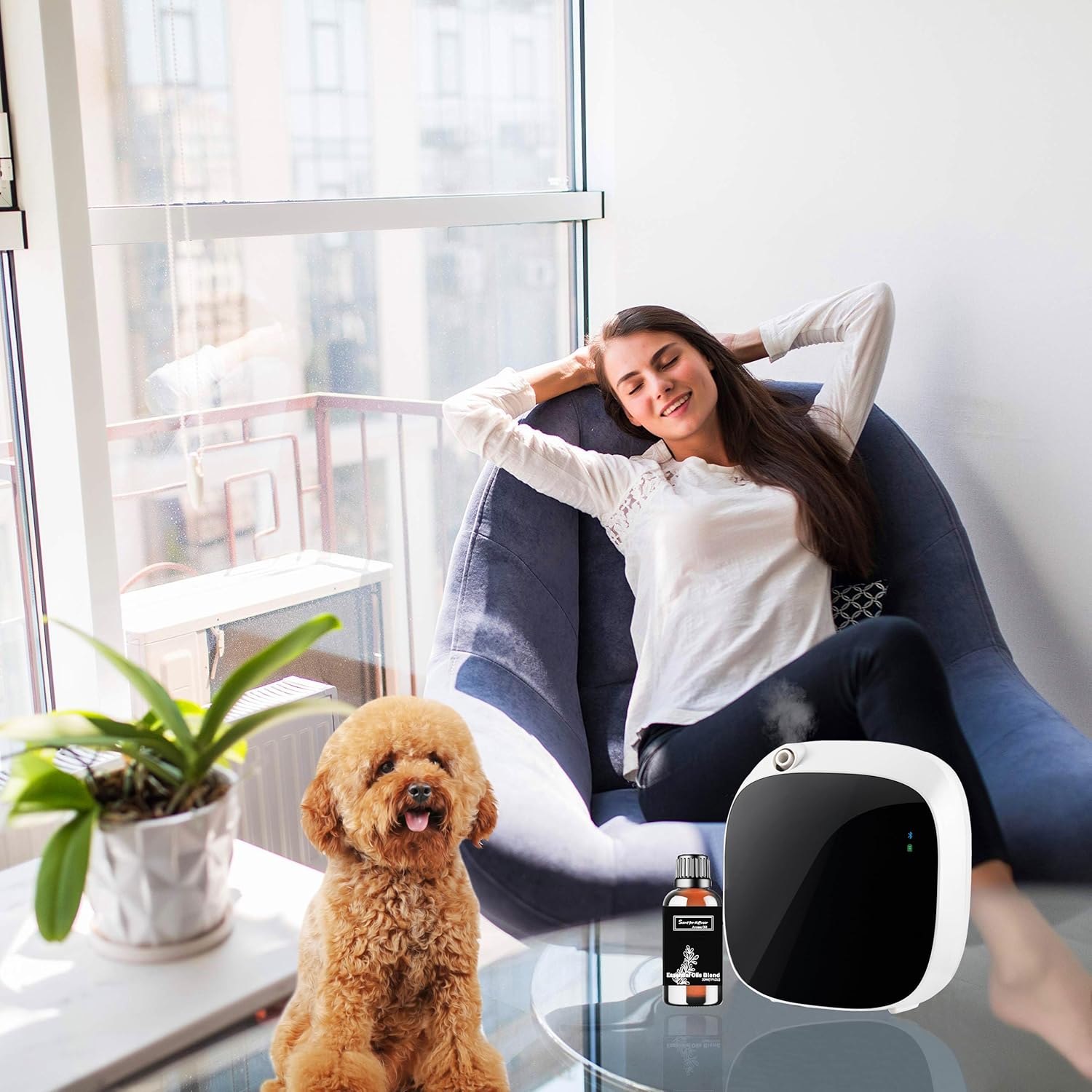Wandering Breeze Essential Oil Inspired by W Hotel for Diffusers, Pure Hotel Diffuser Oil, Sandalwood, Cedarwood and Musk, Home Luxury & Hotel Scent - 30ML