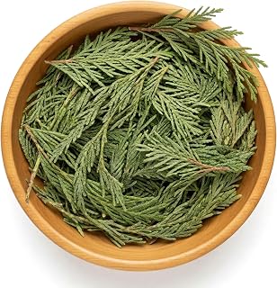 NY Spice Shop Natural Cedar Leaf Whole - 2 Ounce Evergreen Leaves - Raw Aromatic Botanical - Thuja occidentalis - Cut & Dried Herb - Bulk Herbal Ingredient for Crafting Incense or Potpourri