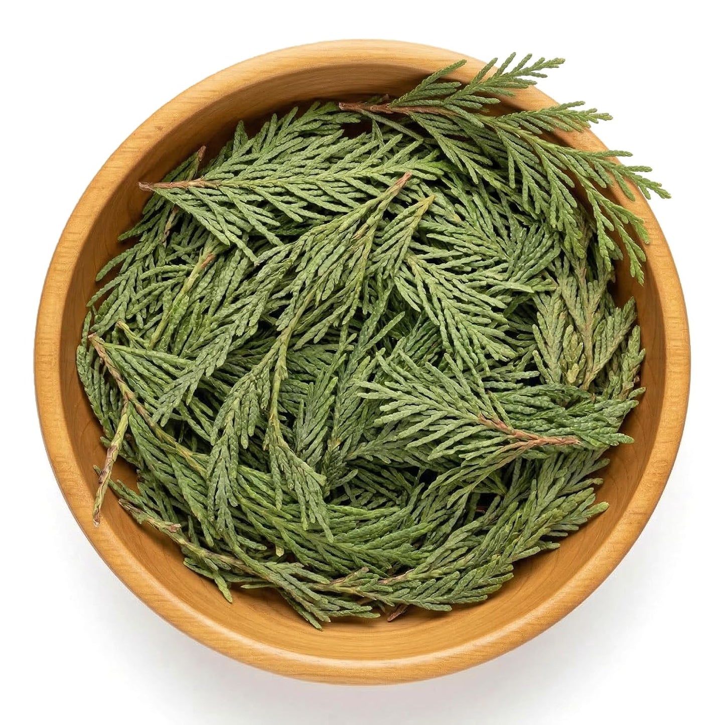 NY Spice Shop Natural Cedar Leaf Whole - 2 Ounce Evergreen Leaves - Raw Aromatic Botanical - Thuja occidentalis - Cut & Dried Herb - Bulk Herbal Ingredient for Crafting Incense or Potpourri