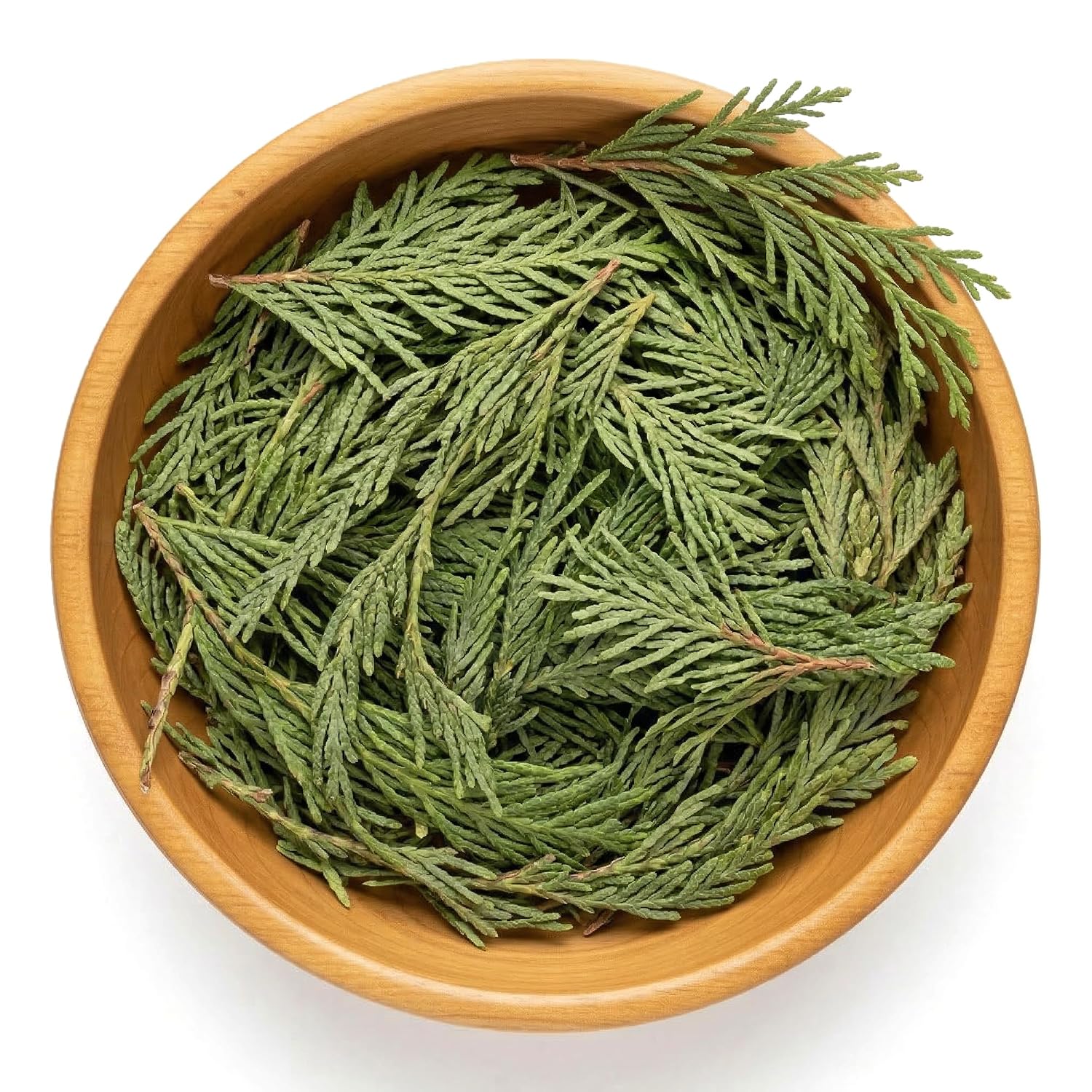 NY Spice Shop Natural Cedar Leaf Whole - 2 Ounce Evergreen Leaves - Raw Aromatic Botanical - Thuja occidentalis - Cut & Dried Herb - Bulk Herbal Ingredient for Crafting Incense or Potpourri