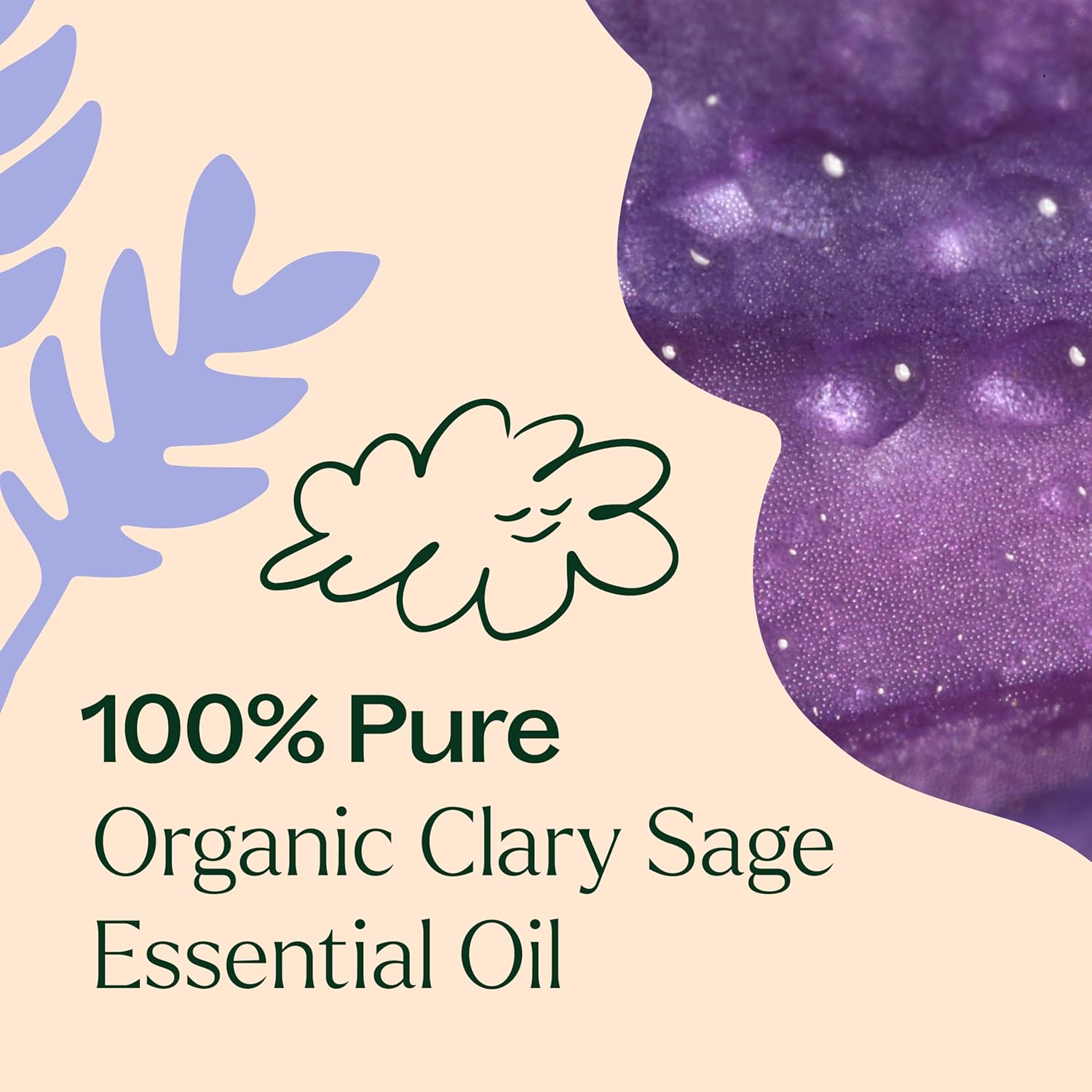 Plant Therapy Organic Clary Sage Essential Oil 10 mL (1/3 oz) 100% Pure, Undiluted, USDA Certified Organic, Natural Calming Aromatherapy for Sleep, Hair, Skin, and Women’s Health