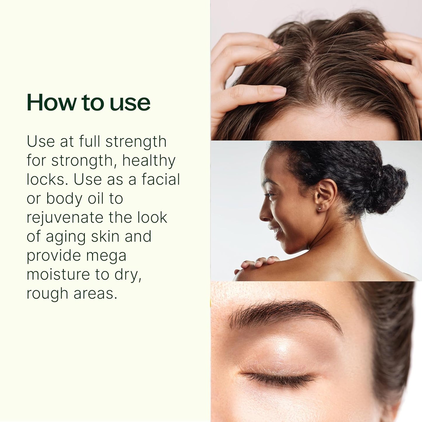 Plant Therapy Organic Argan Oil 16 oz Carrier for Skin and Hair Supports Moisturization Anti Aging and Nails Cold Pressed Pure USDA Certified