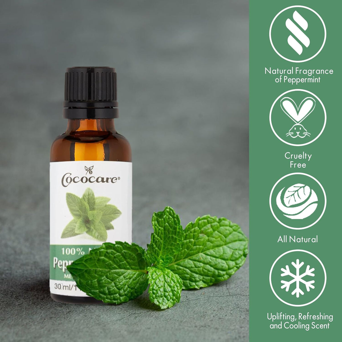 Cococare Cococare 100% Natural Peppermint Massage Oil Rejuvenating- 1 Oz
