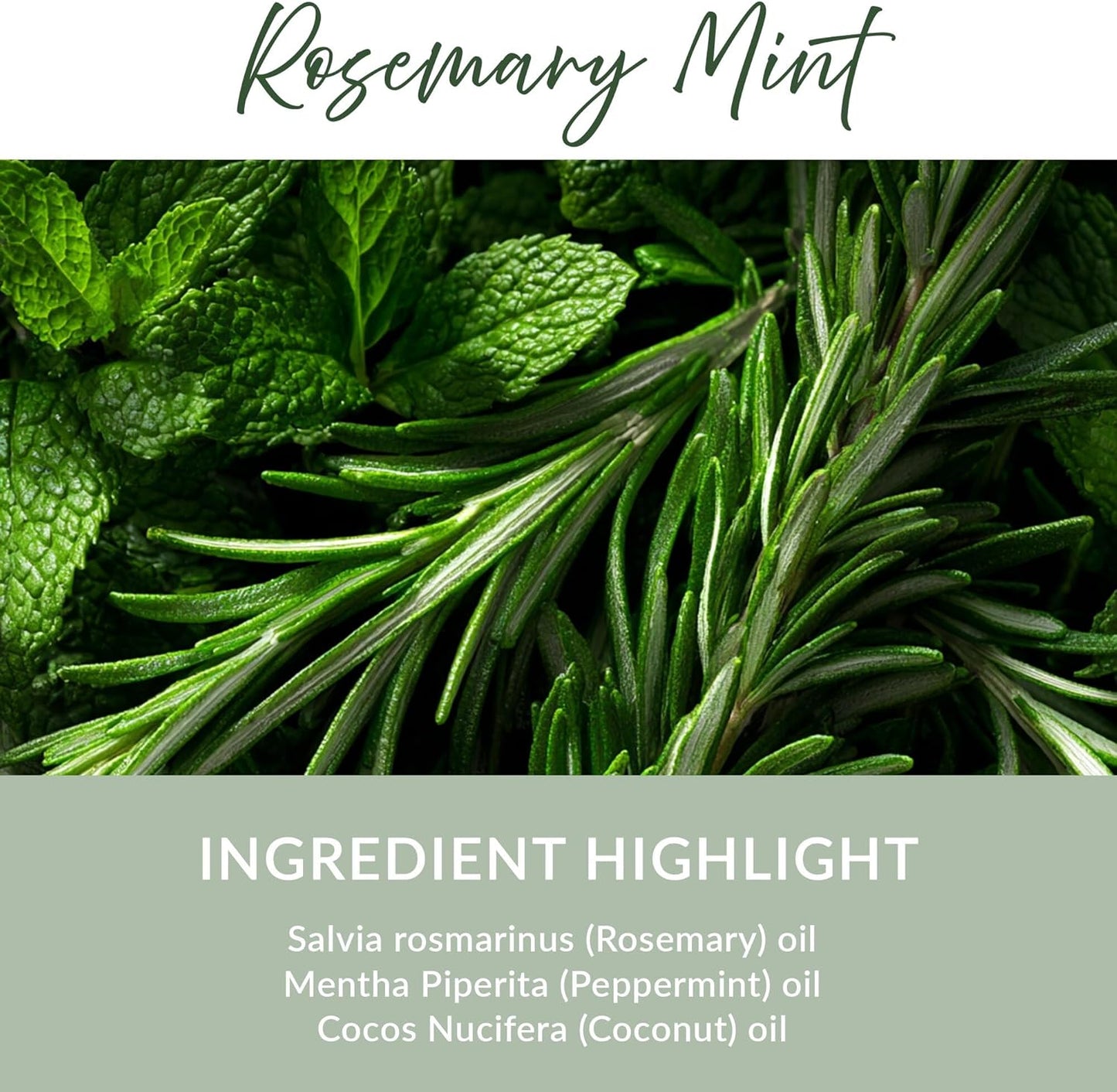 Essence Rosemary Mint Essential Oil, 5 ml | Aromatherapy Oil for Diffusers & Personal Use | Natural Fragrance for Relaxation, Clarity & Wellness | Made in USA | Herbal & Refreshing Scent