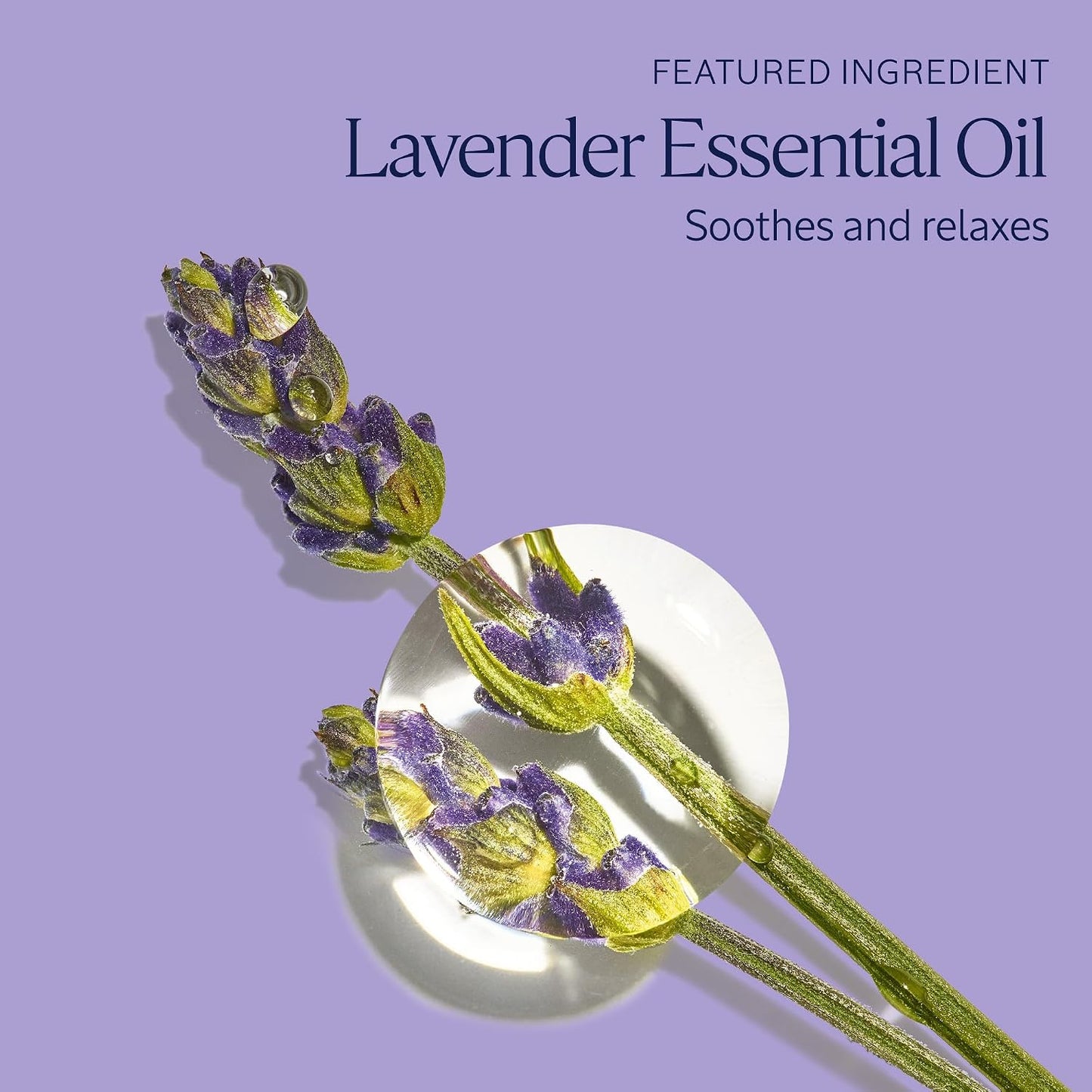 L'Occitane Relaxing & Foaming Lavender Bubble Bath Refill Enriched with Lavender Essential Oil 16.90 fl oz