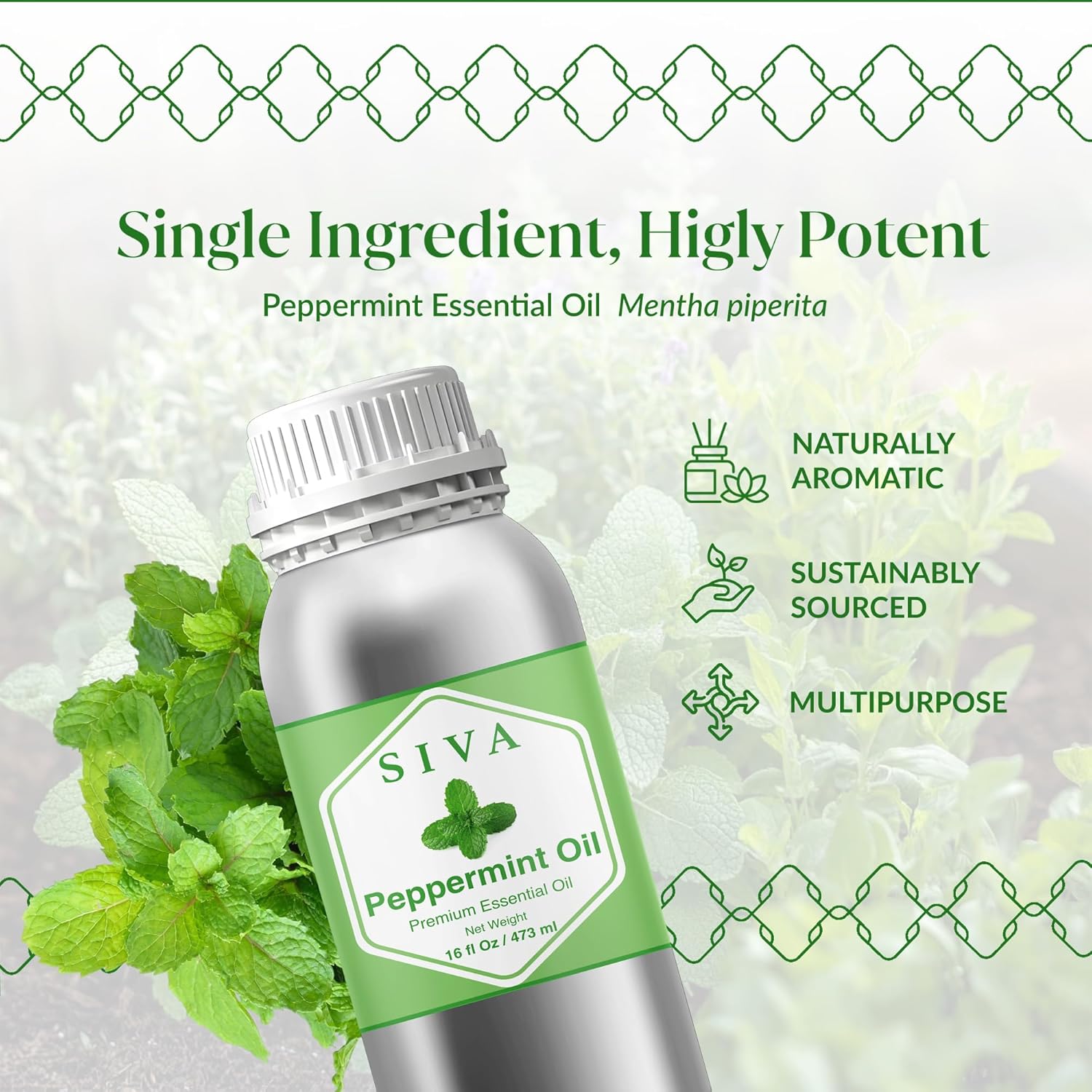 Siva Peppermint Essential Oil - 16 Fl Oz – 100% Natural Peppermint Oil - for Diffuser, Face, Skin Care, Aromatherapy, Hair Care, Scalp and Body Massage
