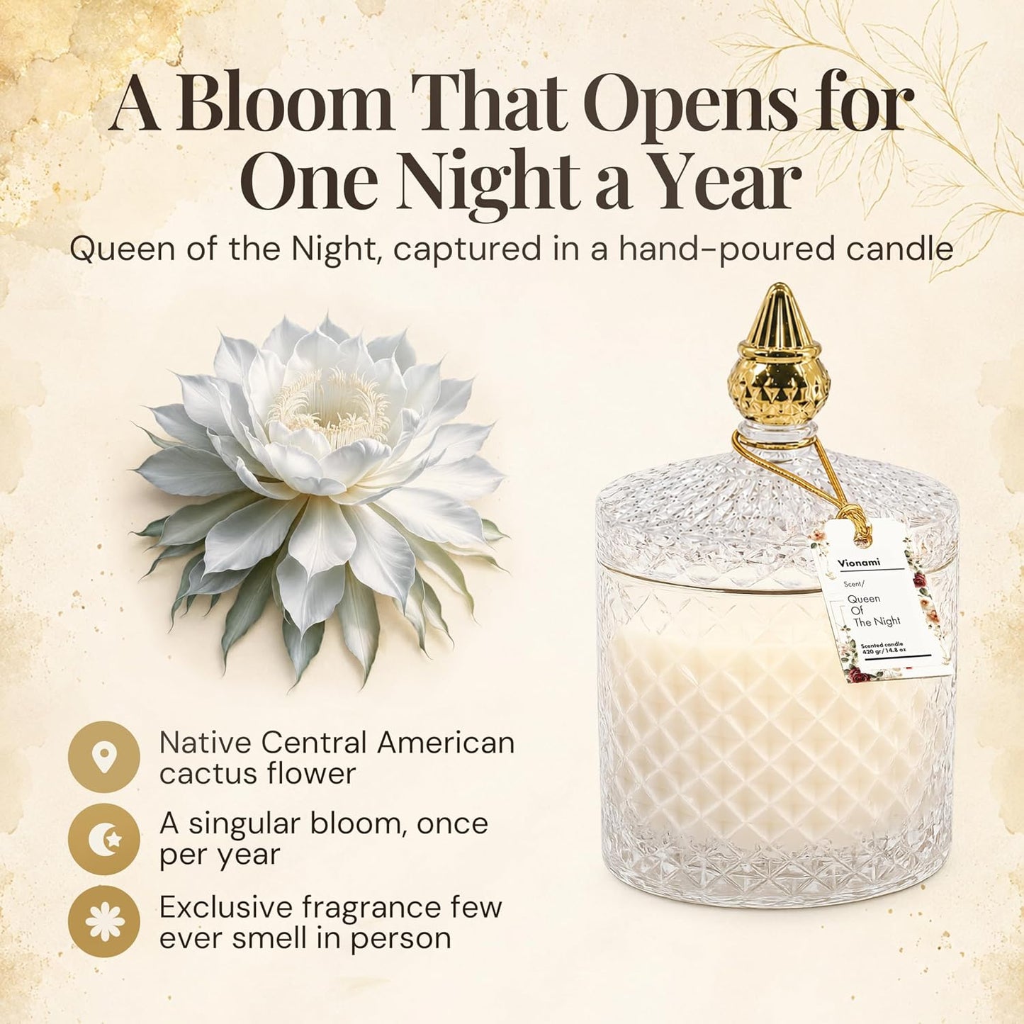 VIONAMI Luxury Scented Candle Gift – Queen of The Night Rare Flower Fragrance in Elegant Glass Jar, Decorative Soy Candles Gifts for Women, Long-Lasting 80 Hr, 14.8 oz, Luxury Candles for Women