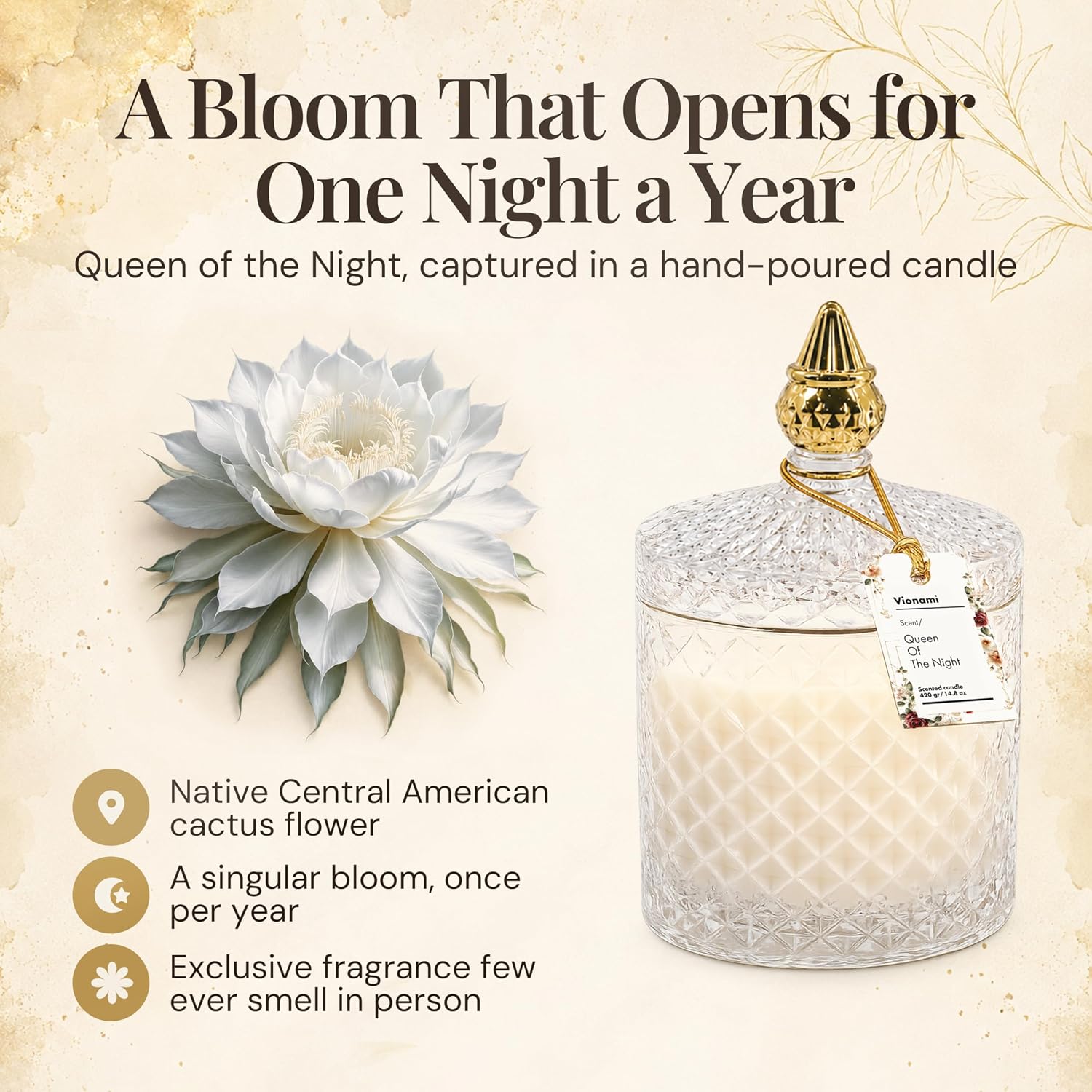 VIONAMI Luxury Scented Candle Gift – Queen of The Night Rare Flower Fragrance in Elegant Glass Jar, Decorative Soy Candles Gifts for Women, Long-Lasting 80 Hr, 14.8 oz, Luxury Candles for Women