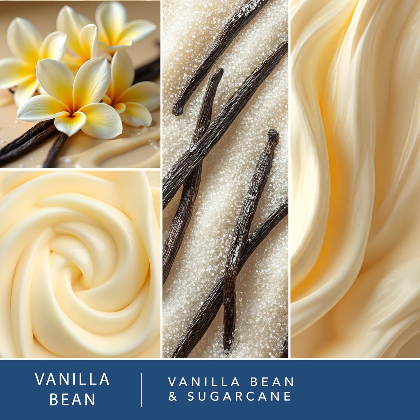 ScentSationals Vanilla Bean Scented Wax Melts - Vanilla & Sugarcane, 10oz (24 Cubes)