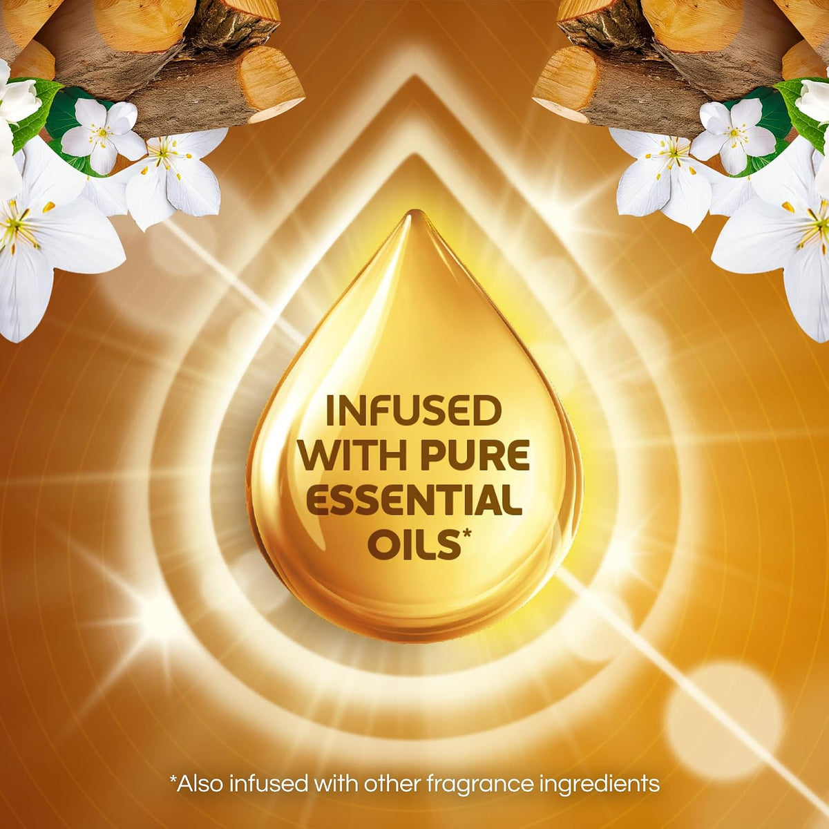 Air Wick Plug-In Scented Oil Refills, Warm Woods &amp; Jasmine, 4 Count