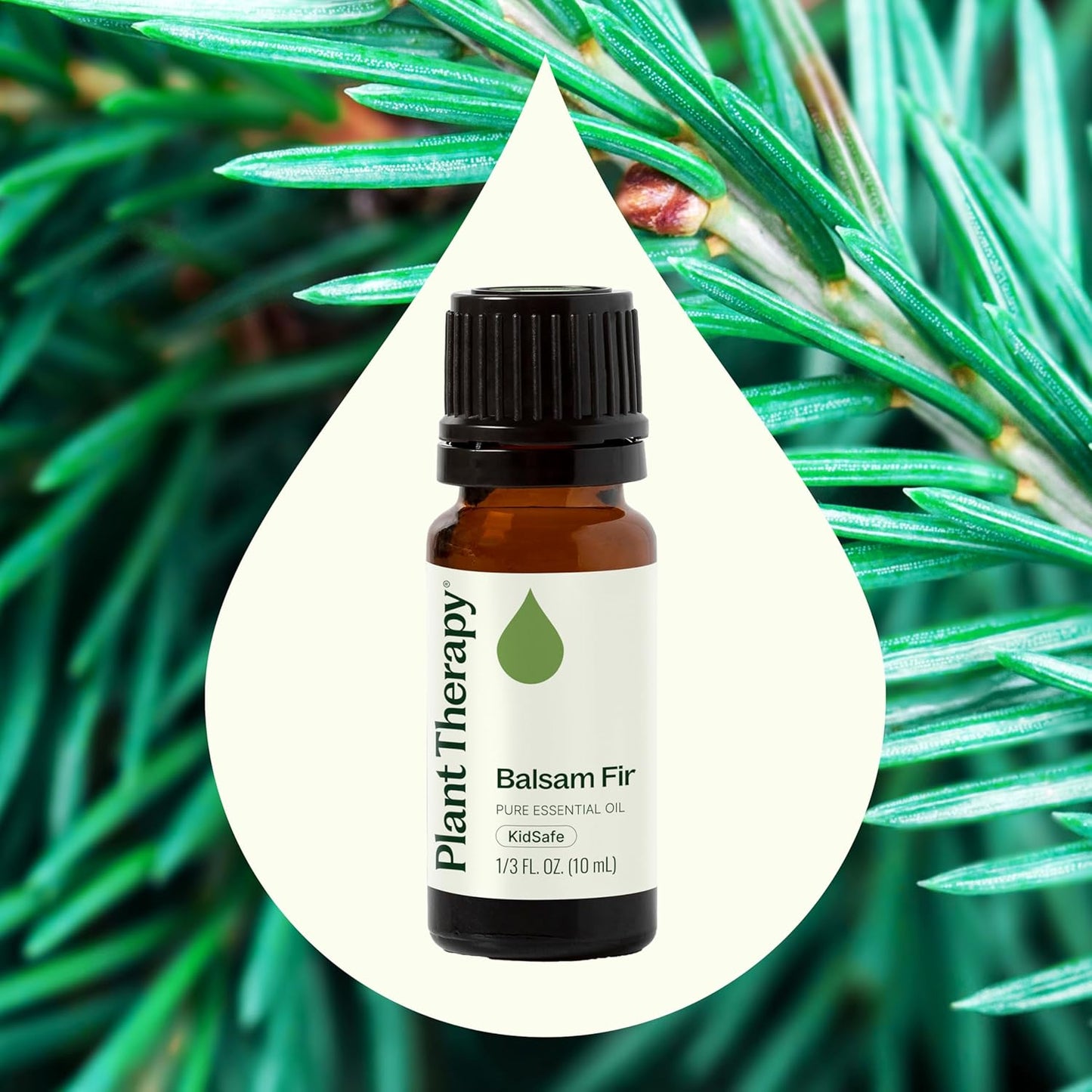 Plant Therapy Balsam Fir Essential Oil 10 mL (1/3 oz) Fresh Forest Scent, 100% Pure, Undiluted, Therapeutic Grade