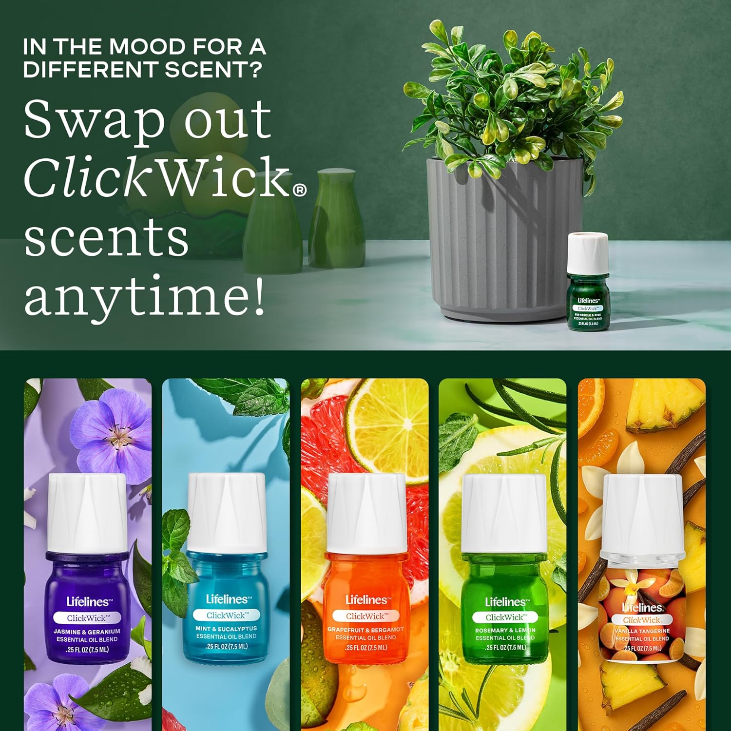 ClickWick Essential Oil Blends for Lifelines Diffusers, 3-Pack Walk in The Woods Set - Essential Oil Blend Refill for Candle, Plant & Shower Aromatherapy Diffuser - Fragrance for Diffusers