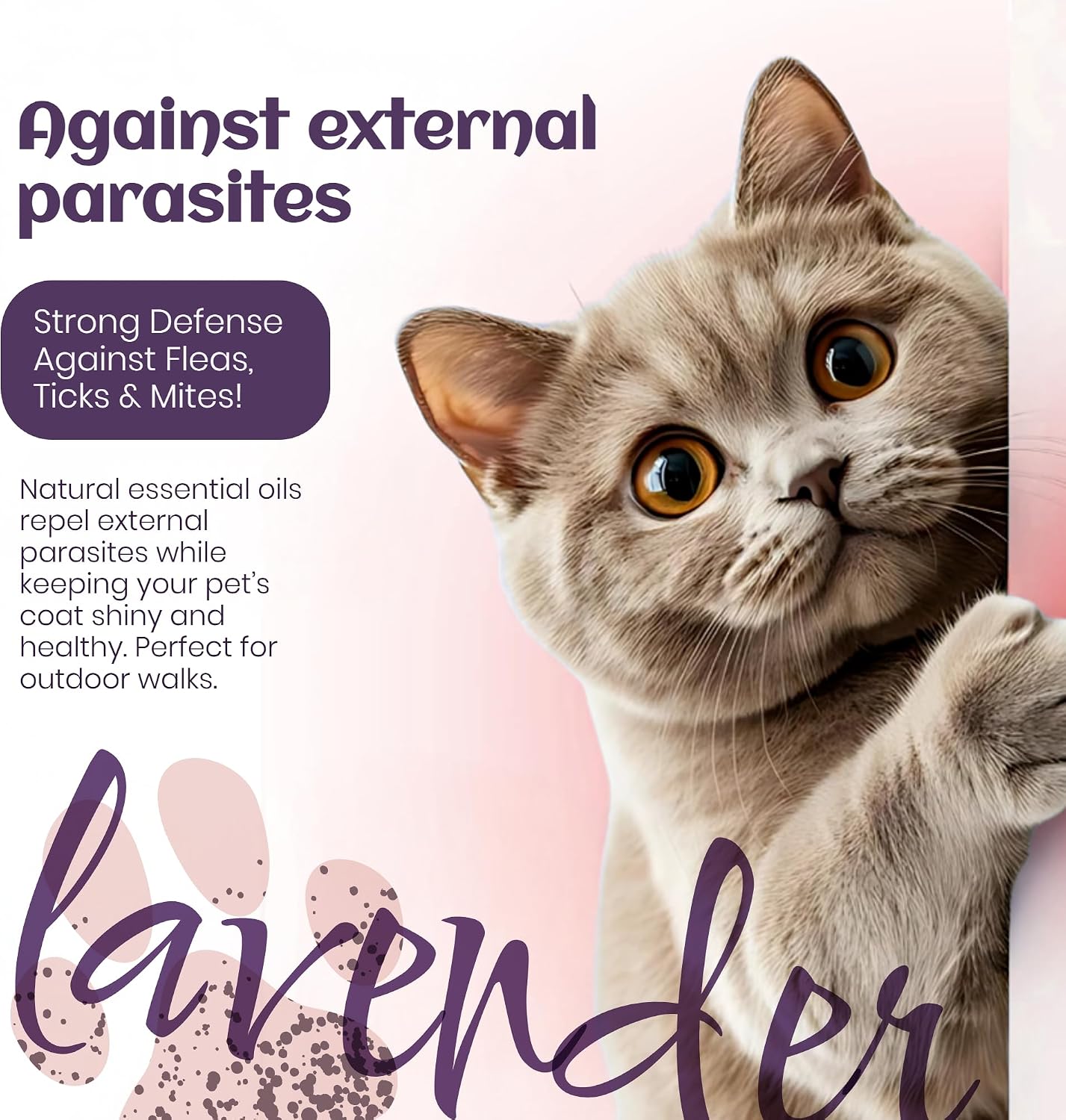 DR.LAVENDER Natural Pet Coat Spray – Lavender & Orange Peel Essential Oil Formula – Gentle Grooming & Cleansing Spray for Dogs & Cats – Safe for Home, Bedding & Furniture – Fresh Scent