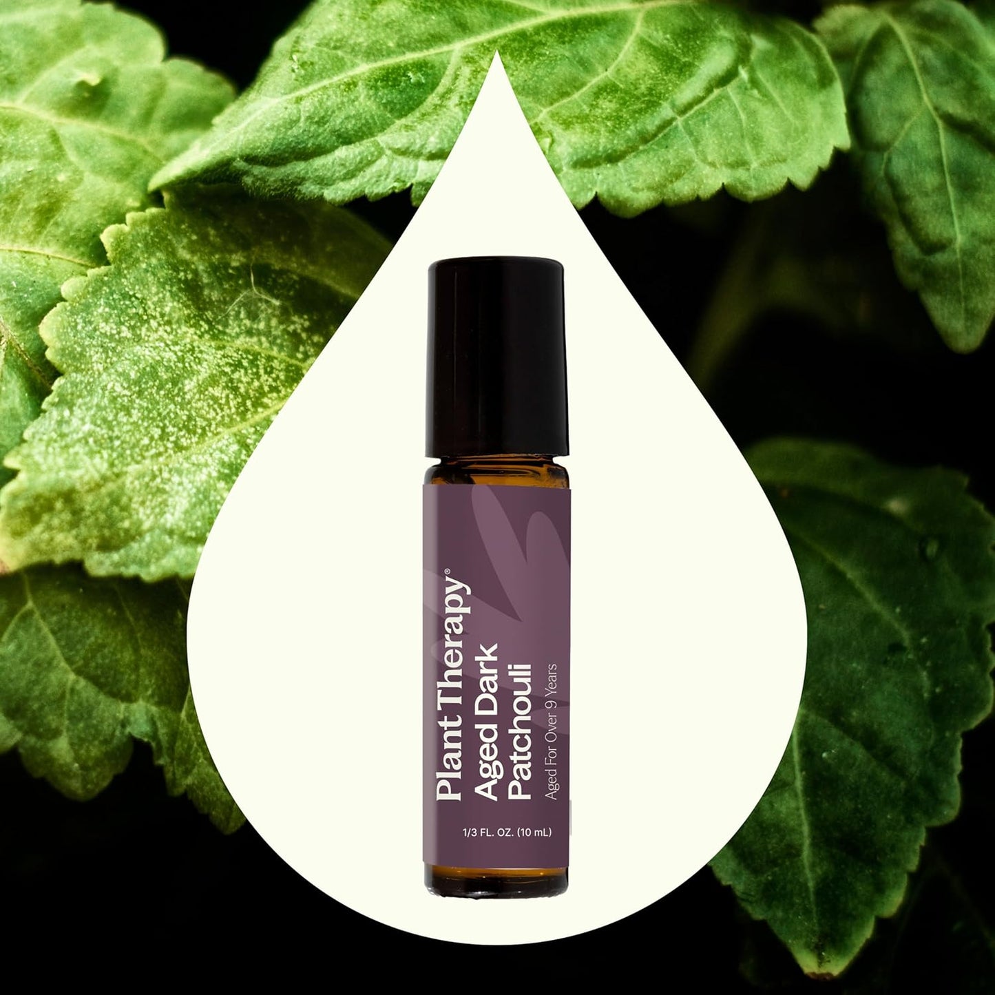 Plant Therapy Aged Dark Patchouli Essential Oil Roll-On 10 mL (1/3 oz) Pre-Diluted in Fractionated Coconut Oil, Long-Lasting, Personal Fragrance,100% Pure, Natural, Expertly Aged for Depth, Rich Aroma