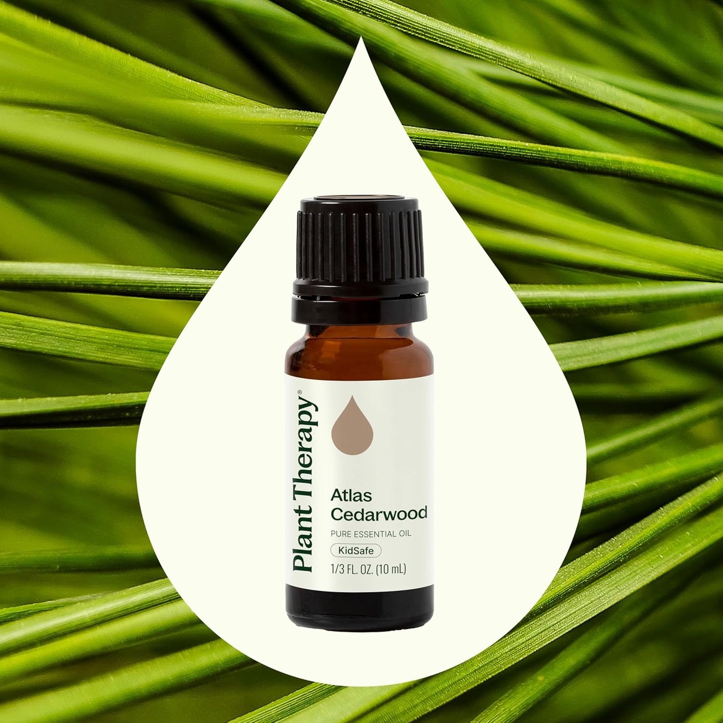 Plant Therapy Atlas Cedarwood Essential Oil 10 mL (1/3 oz) 100% Pure, Undiluted, Natural Aromatherapy, Soothing Aromatherapy for Skin, Hair, and Stress Relief