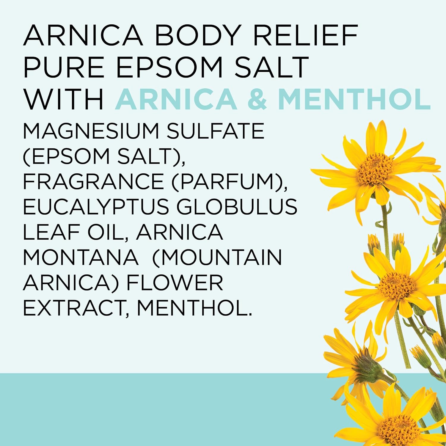 Dr Teal's Epsom Salt Magnesium Soak, Arnica Body Relief with Arnica, Menthol & Essential Oils, 3 lbs (Pack of 2)
