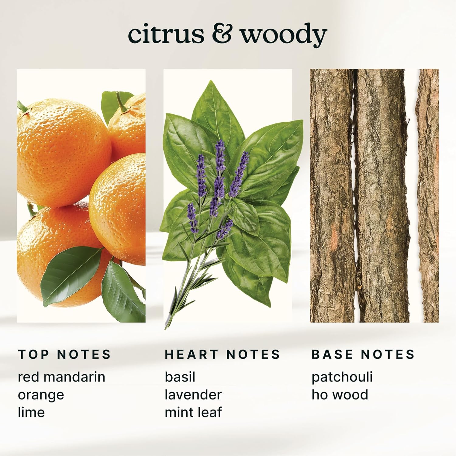 Homedics SereneScent Waterless Diffuser Oil Refill — Mandarin Basil (15ml). Compatible with Compact SereneScent Diffusers. Fresh Citrus & Herb Home Fragrance. Plug & Play