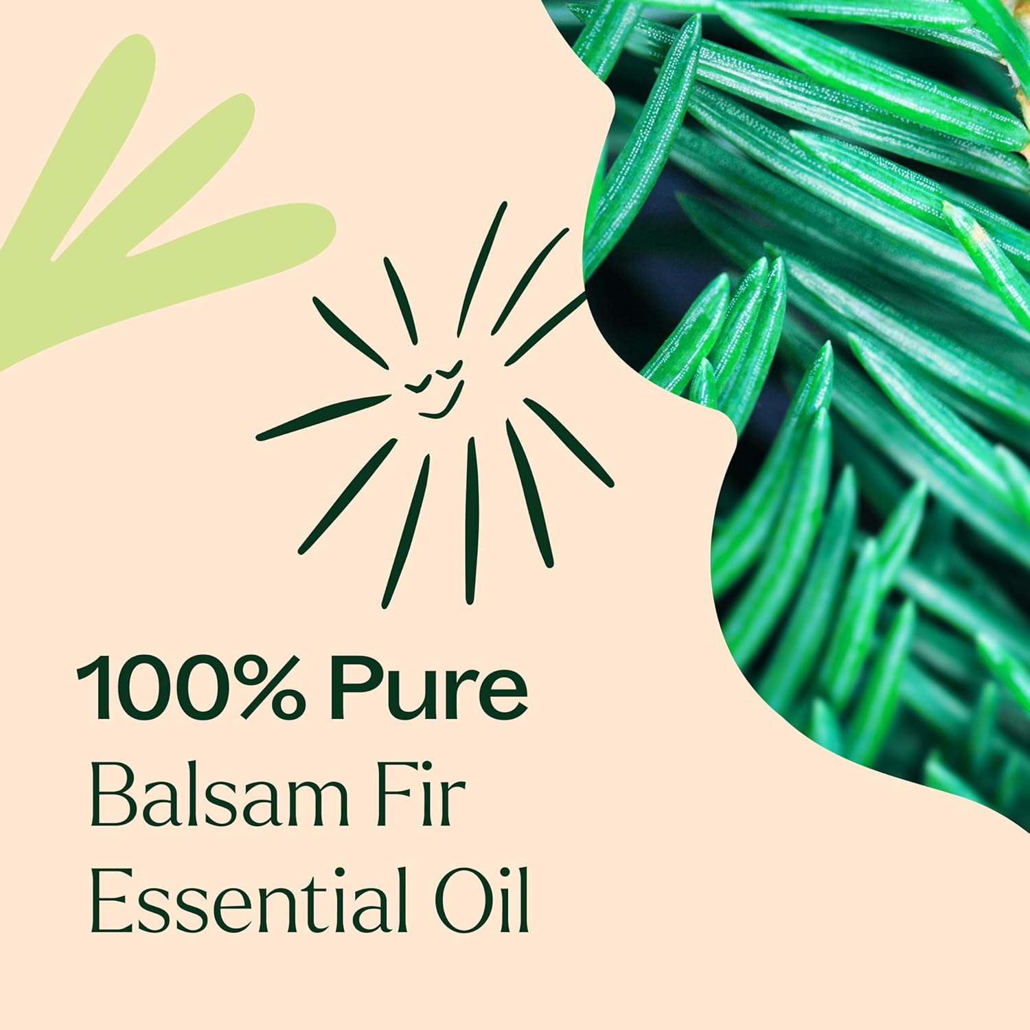 Plant Therapy Balsam Fir Essential Oil 10 mL (1/3 oz) Fresh Forest Scent, 100% Pure, Undiluted, Therapeutic Grade