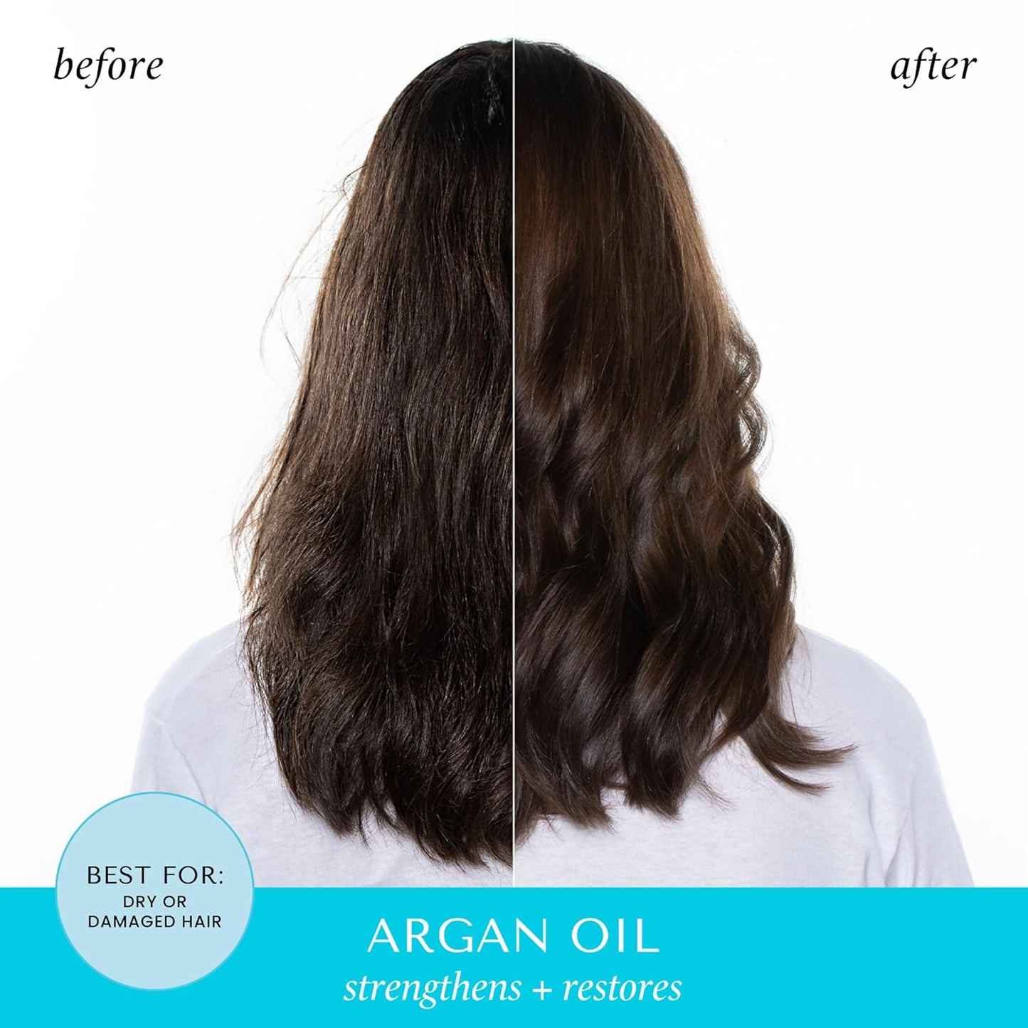 HASK Argan Oil Repairing Conditioner, 12 Fl Oz