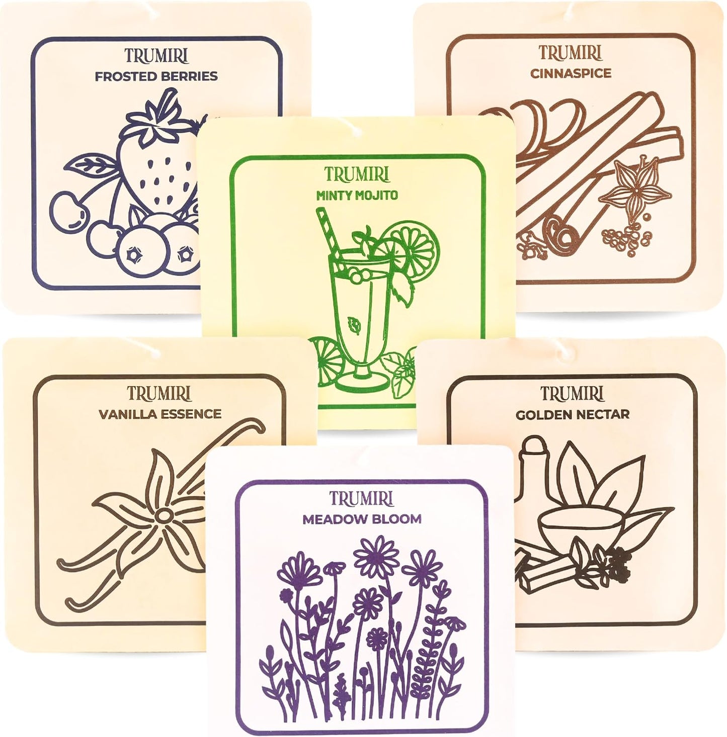Scented Sachets for Drawer and Closet Freshener with Long Lasting Scent - Variety Pack of 6 - Frosted Berries|Cinnaspice|Vanilla Essence|Minty Mojito|Meadow Bloom|Golden Nectar - Home Fragrance