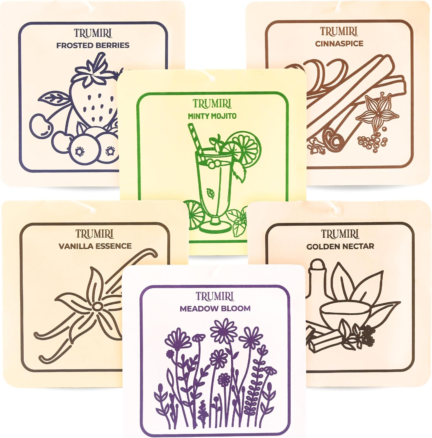 Scented Sachets for Drawer and Closet Freshener with Long Lasting Scent - Variety Pack of 6 - Frosted Berries|Cinnaspice|Vanilla Essence|Minty Mojito|Meadow Bloom|Golden Nectar - Home Fragrance