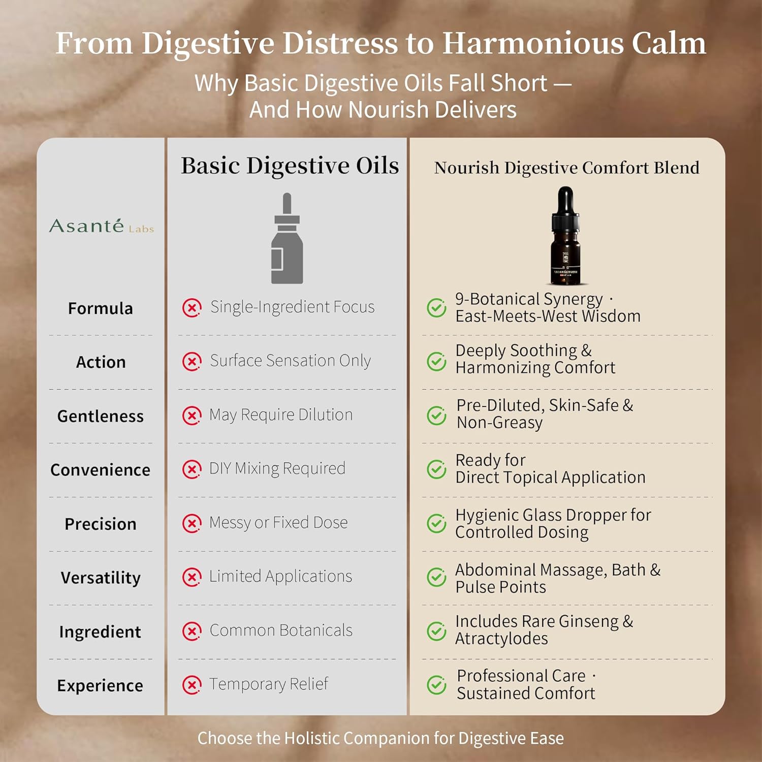 Nourish Digestion Relief Essential Oil Blend – Frankincense, Bergamot & Panax Ginseng for Abdominal Ease, Bloating Relief & Digestive Support – 5ml Natural, Skin-Safe (0.17 Fl Oz (Pack of 1))