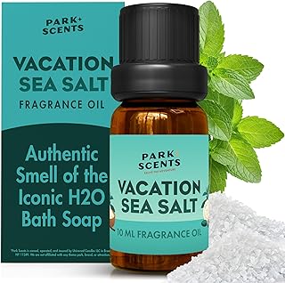 Park Scents Vacation Sea Salt – Peppermint Eucalyptus Musk Theme Park Luxury Hotel Fragrance Oil – Scented Essential Oils for Diffusers for Home, Aromatherapy, Gifts for Women, Sister, Hostess (10ml)