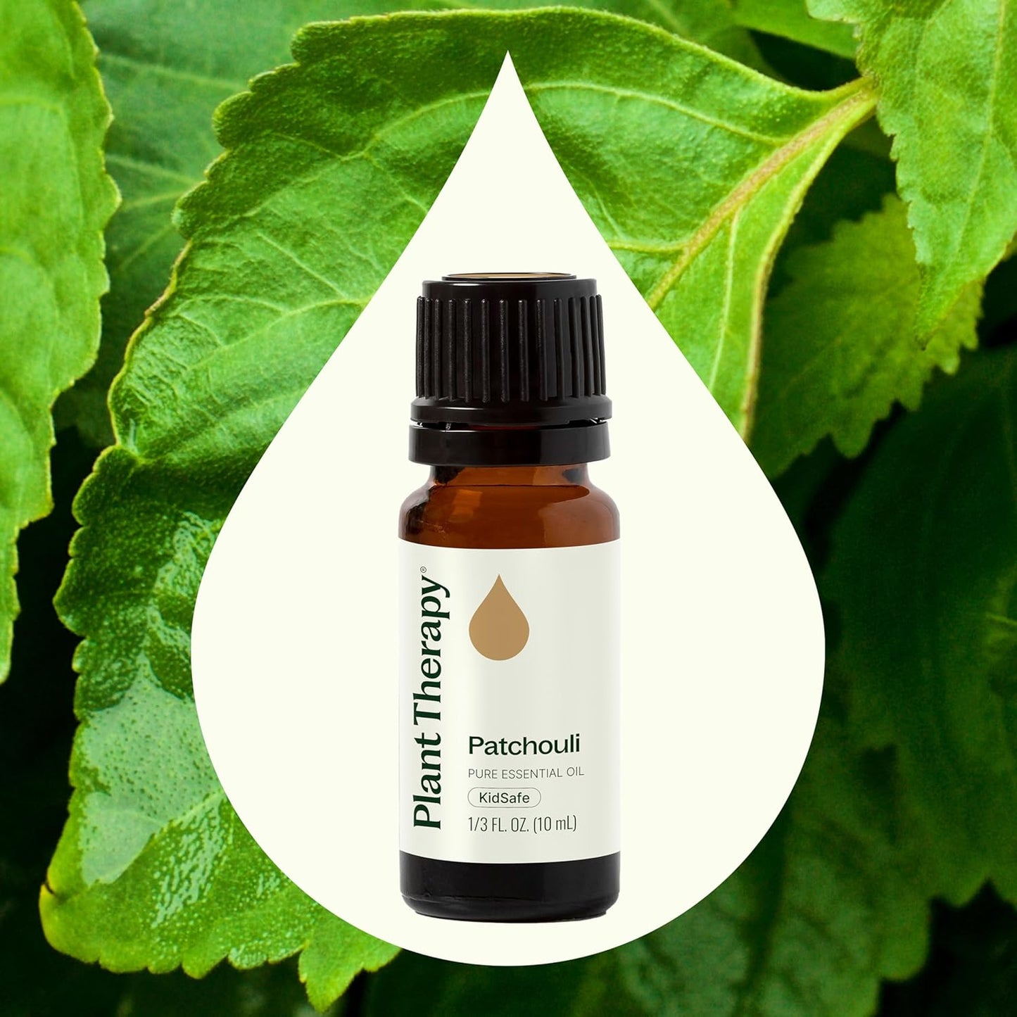 Plant Therapy Patchouli Essential Oil, 10 mL (1/3 oz), 100% Pure and Undiluted, Great for DIY Skincare and Essential Oil Diffusers