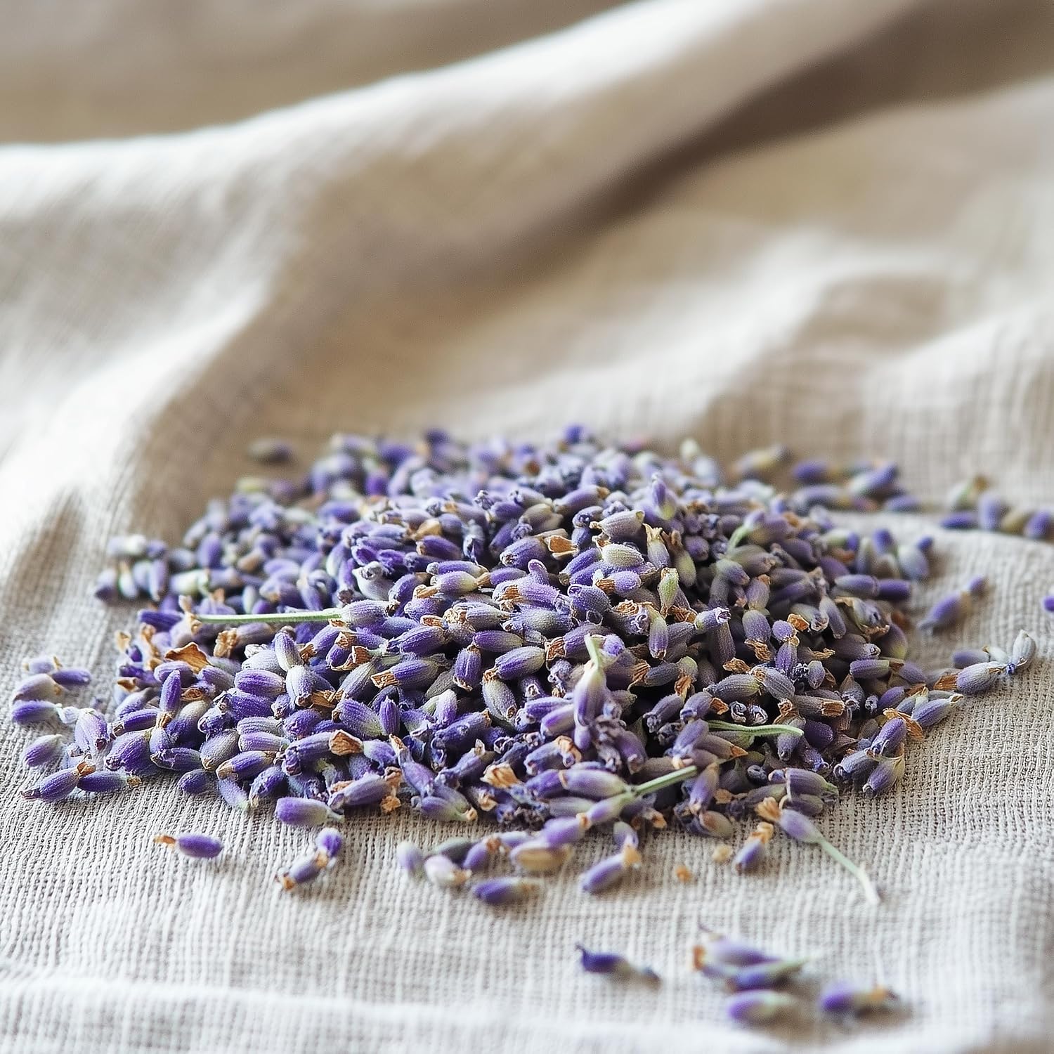 SavorSatch Dried Lavender Flowers Buds – 2 oz Resealable Pouch | Culinary Grade, Whole Flower, Kosher Certified, Non-GMO | Soothing Aroma, Herbal Tea, Baking, Crafts, Sachets – Product of Albania