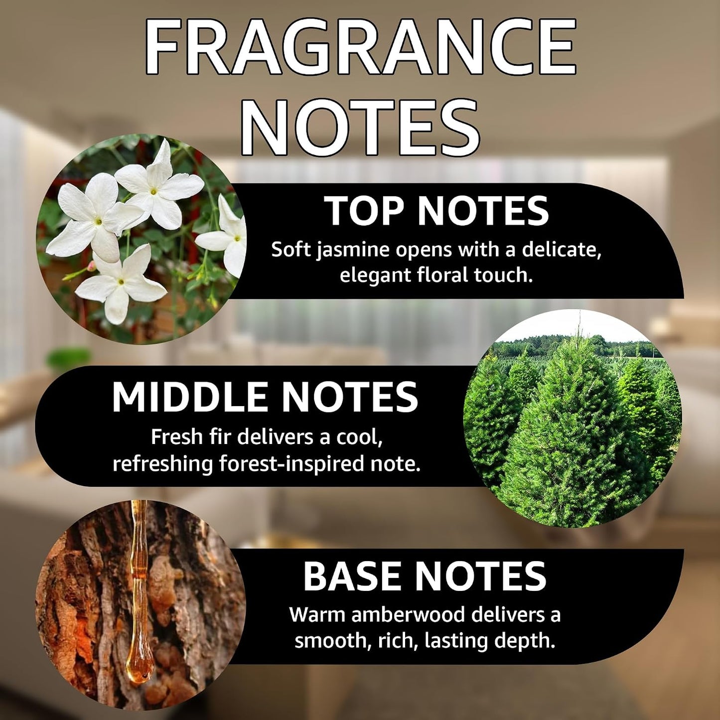 Bougie 540 Fragrance Oil | Jasmine, Fir & Amberwood Notes | Long Lasting Scent Reed Diffuser Oil for Home, Office, Hotel, Spa, Car & Linen Spray | Pet Friendly IFRA Compliant, 16 oz