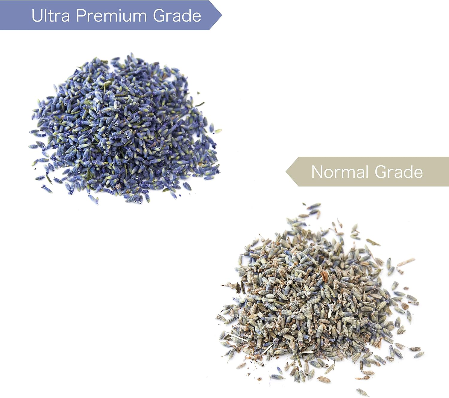 Lavande Sur Terre Dried Lavender Flower Buds for Crafts, Baking, Tea, DIY Projects, Sachets & Fresh Fragrance, 5 Ounces Bag, LV-N-1