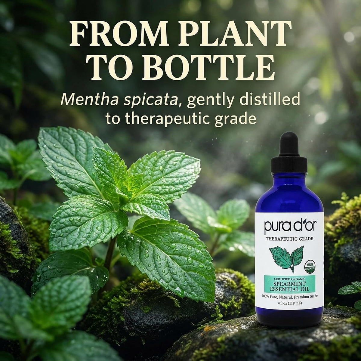 PURA D'OR Organic Spearmint Essential Oil (4oz with Glass Dropper) USDA Certified 100% Pure & Natural Therapeutic Grade
