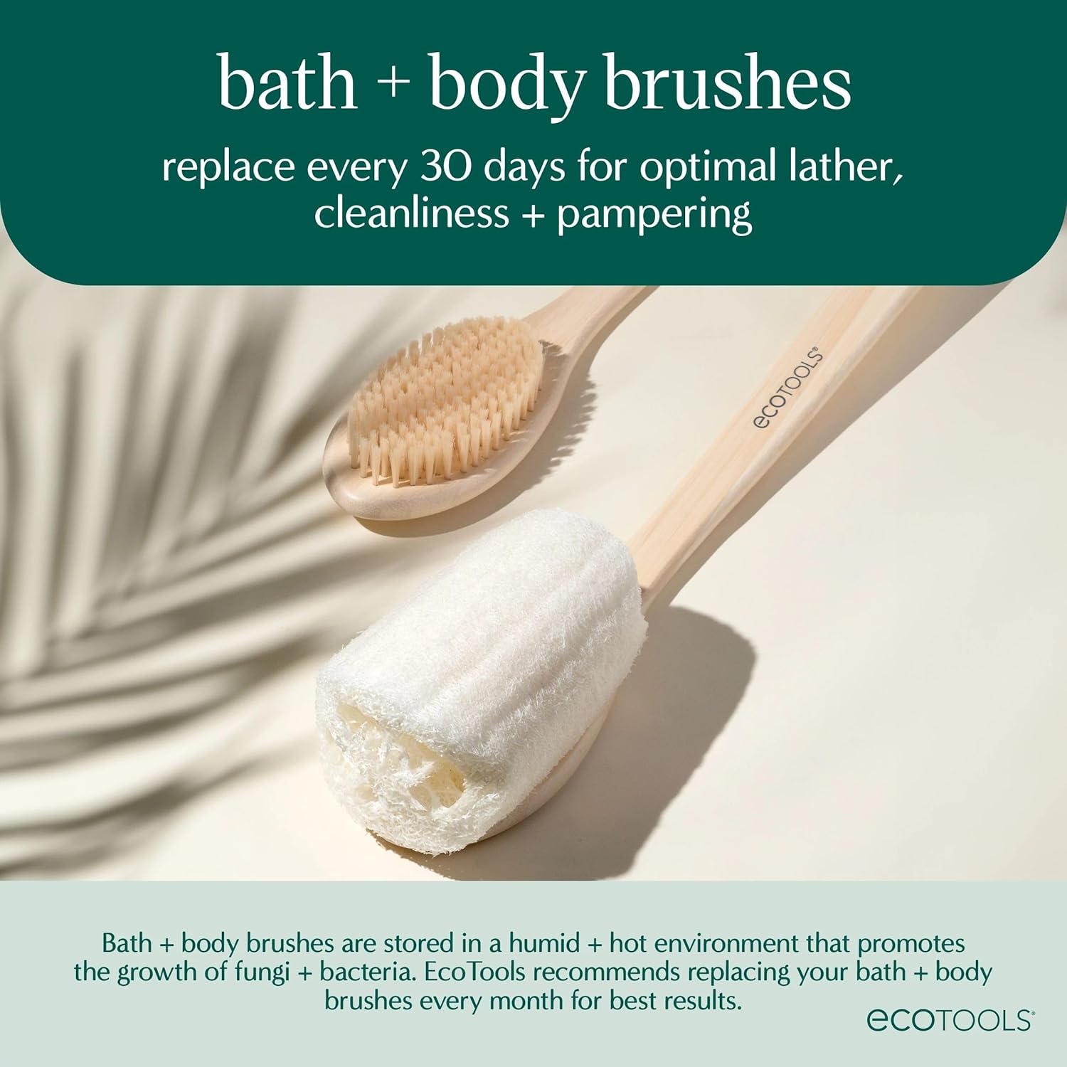 EcoTools Dry Body Brush, Cruelty-Free Bristles Exfoliate & Smooth Skin, Dry Brushing Removes Flaky Skin, May Help Improve Circulation & Tone, Vegan & Cruelty-Free, 1 Count