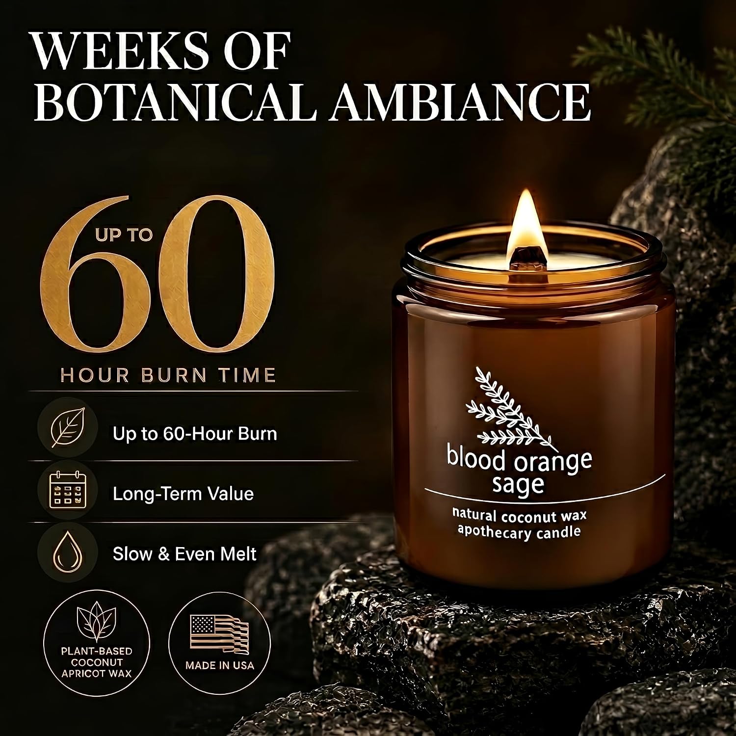 Hemlock Park Blood Orange Sage Apothecary Scented Candle | Crackling Wood Wick, Botanical Fragrance & Coconut Apricot Wax | Up to 60 Hour Burn Time | 8 oz | Made in USA