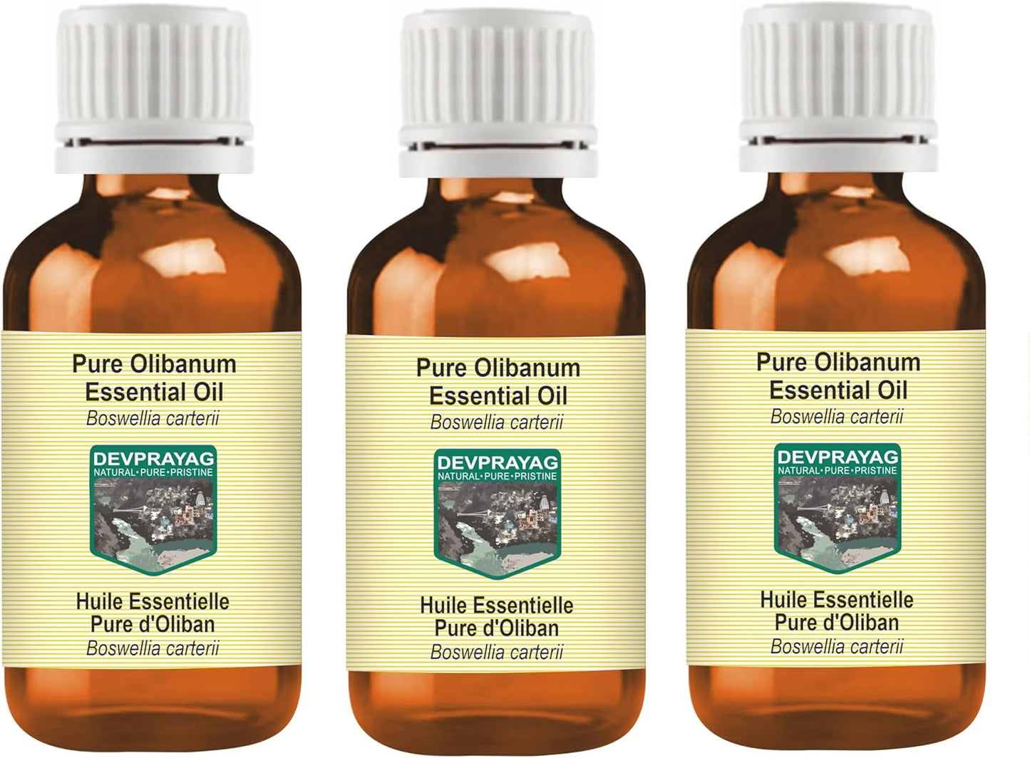 Pure Olibanum Essential Oil (Boswellia carterii) Steam Distilled (Pack of Three) 100ml X 3 (10 oz)
