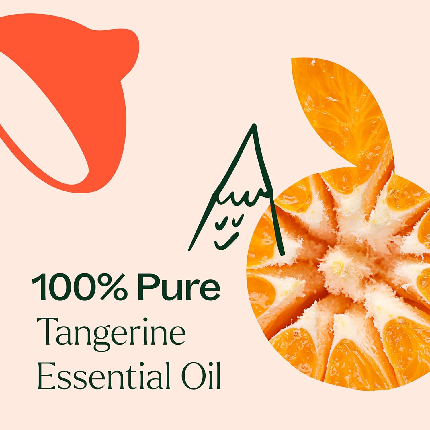 Plant Therapy Tangerine Essential Oil 30 mL (1 oz) 100% Pure, Undiluted, Aromatherapy, Mood Boosting, Immune Support
